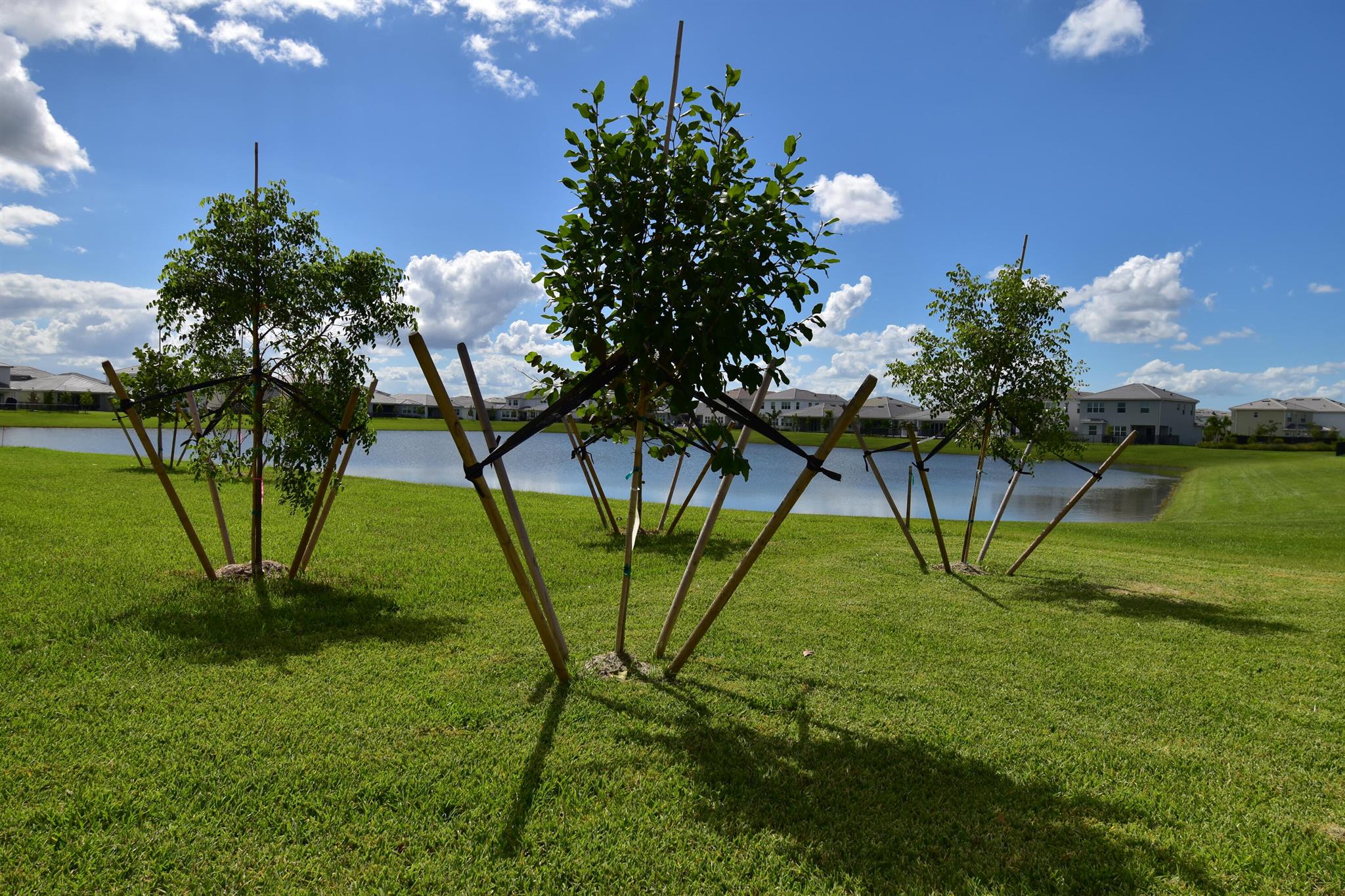 PINES OF WESTLAKE - Residential Lease