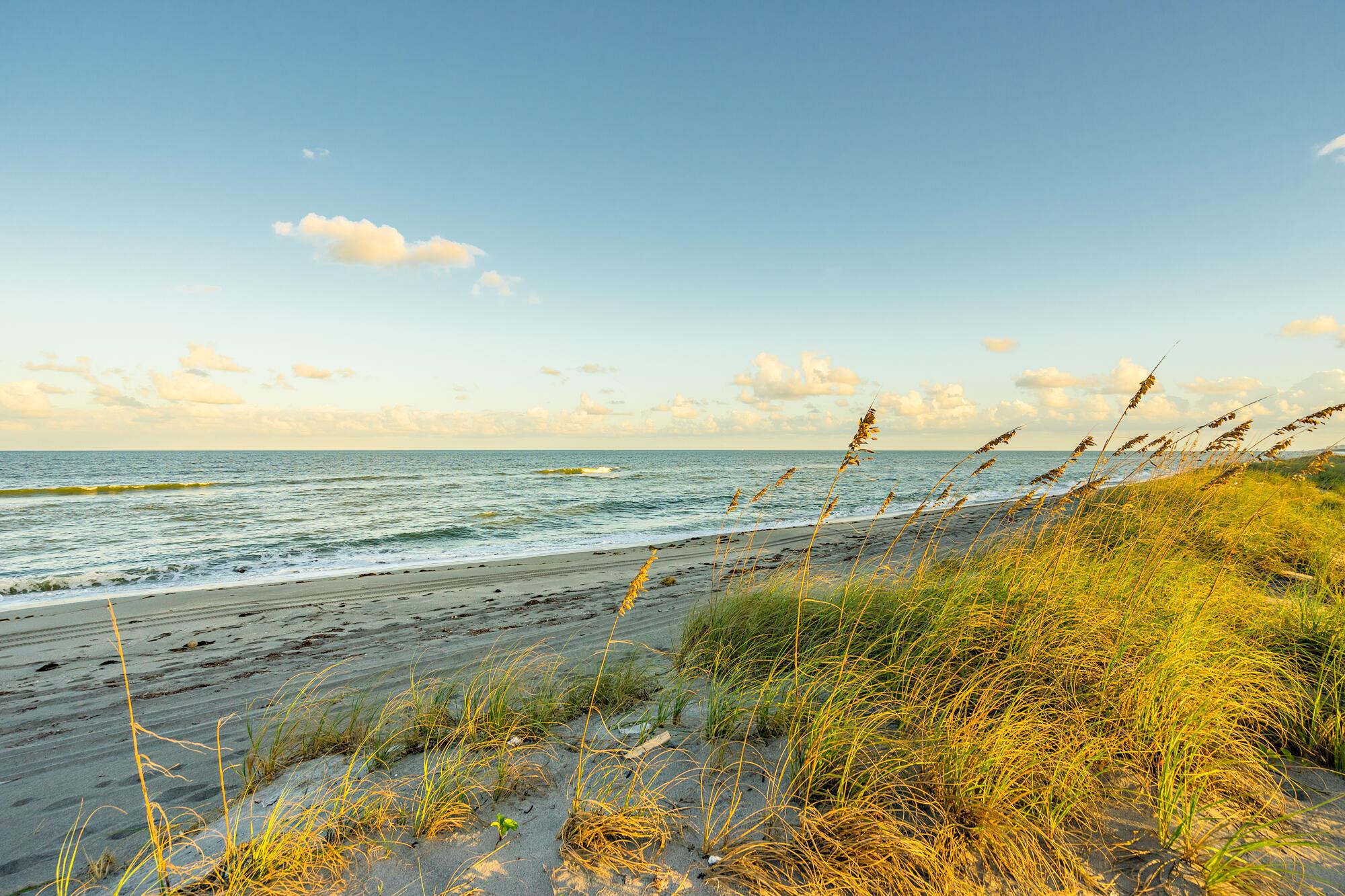 JUPITER ISLAND - Land