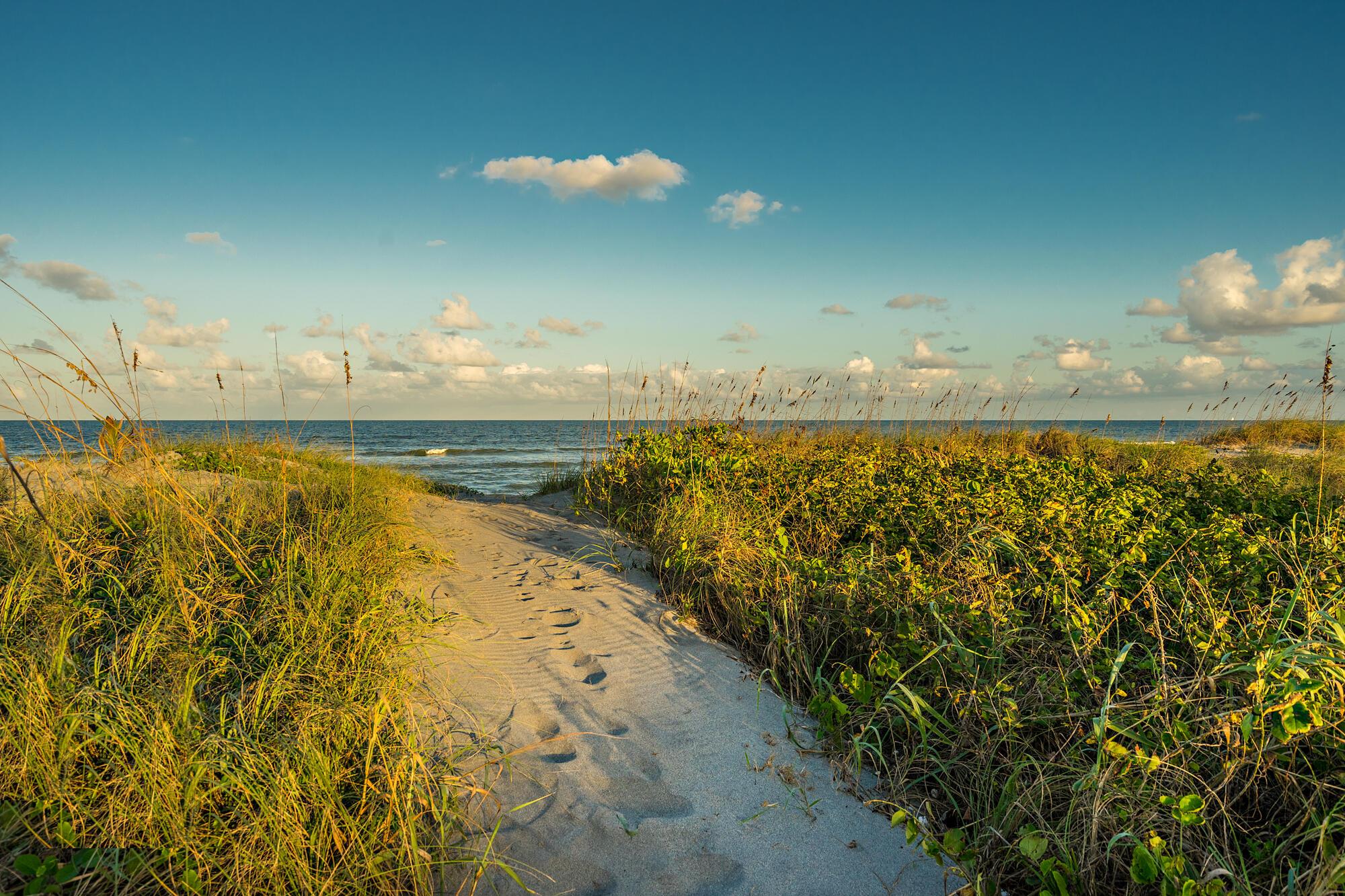 JUPITER ISLAND - Land