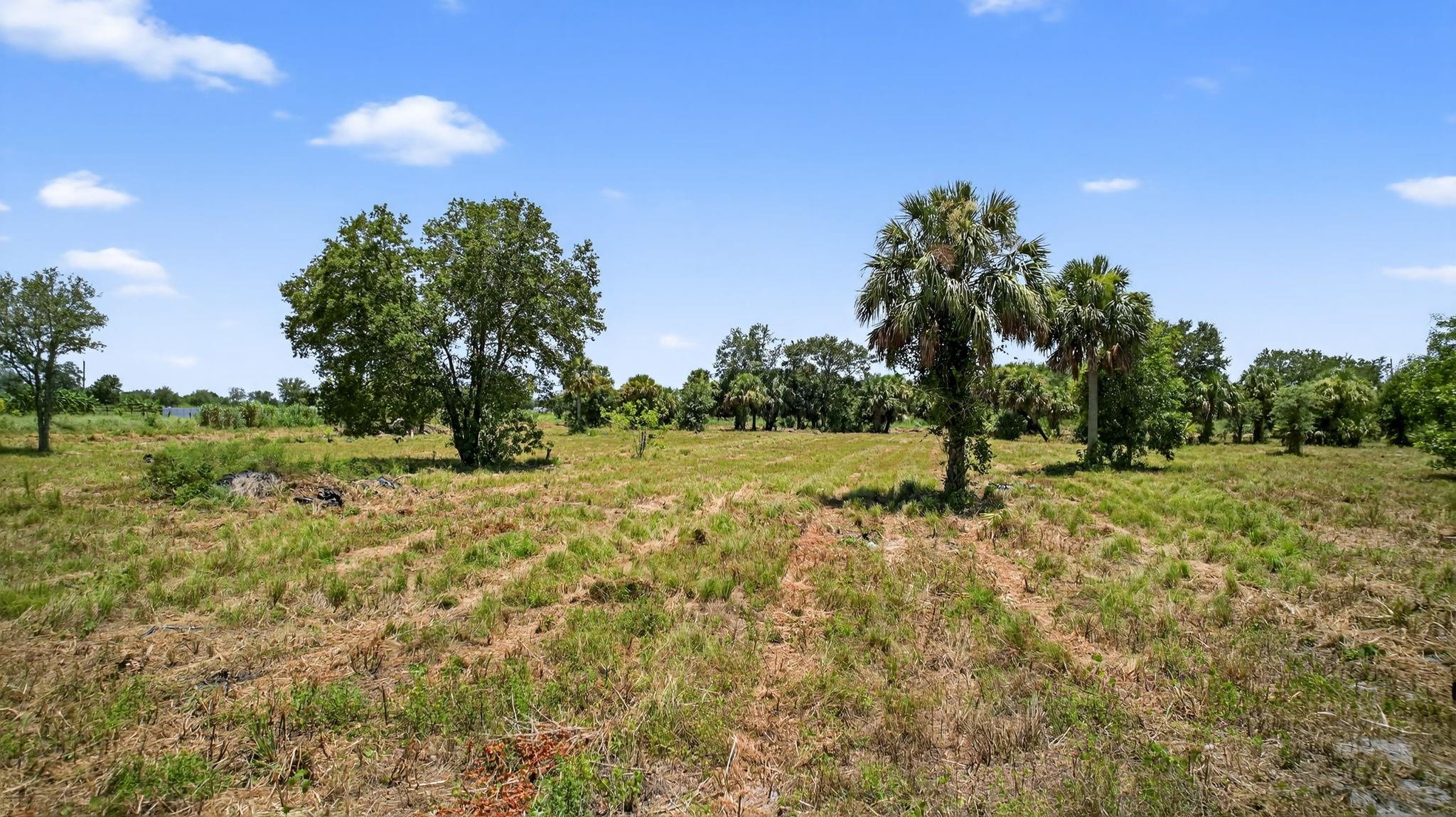 Santa Rosa Groves - Land