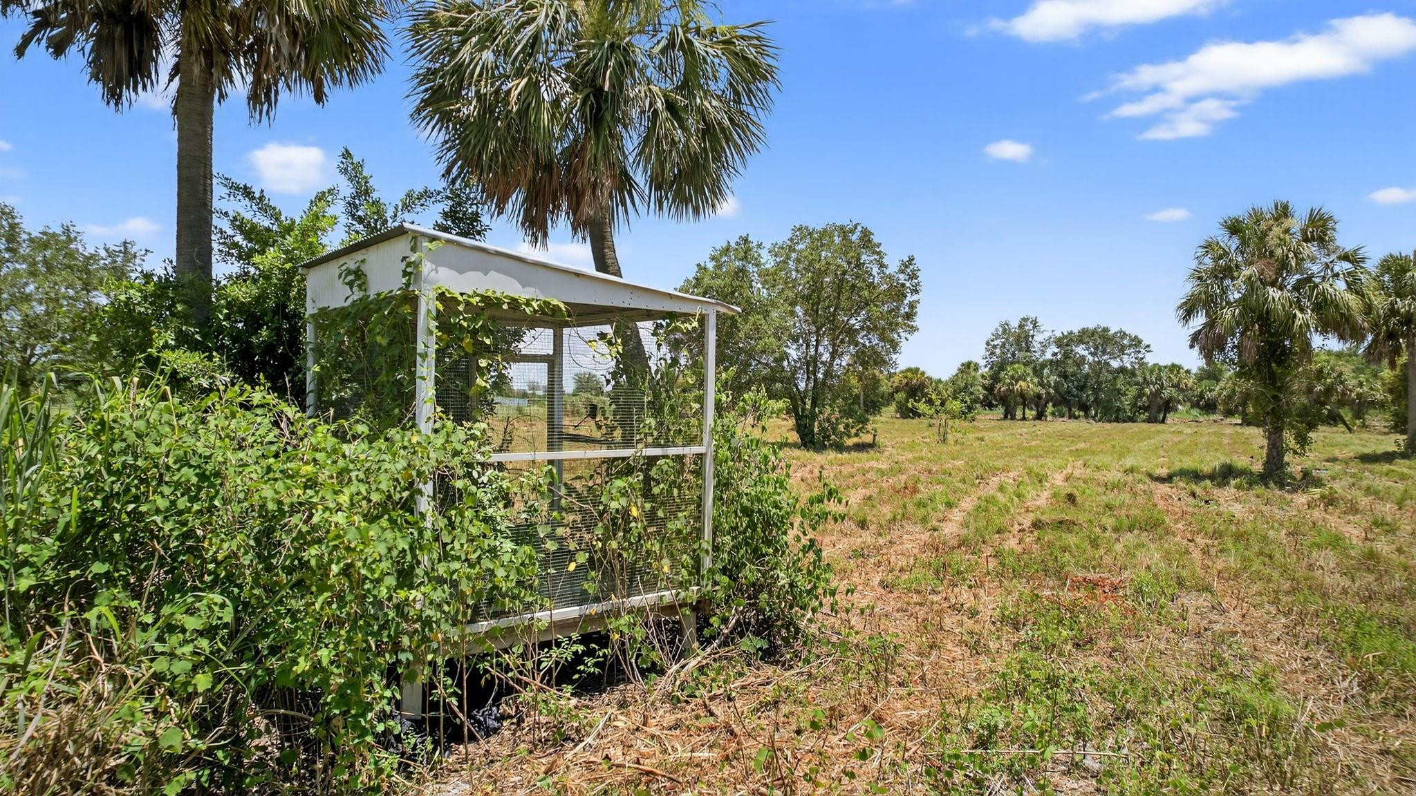 Santa Rosa Groves - Land