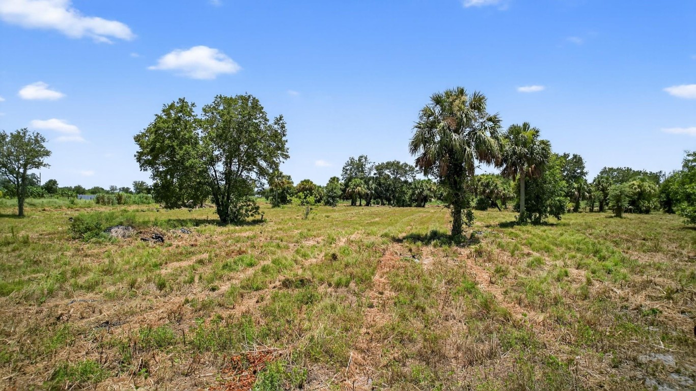 Santa Rosa Groves - Land