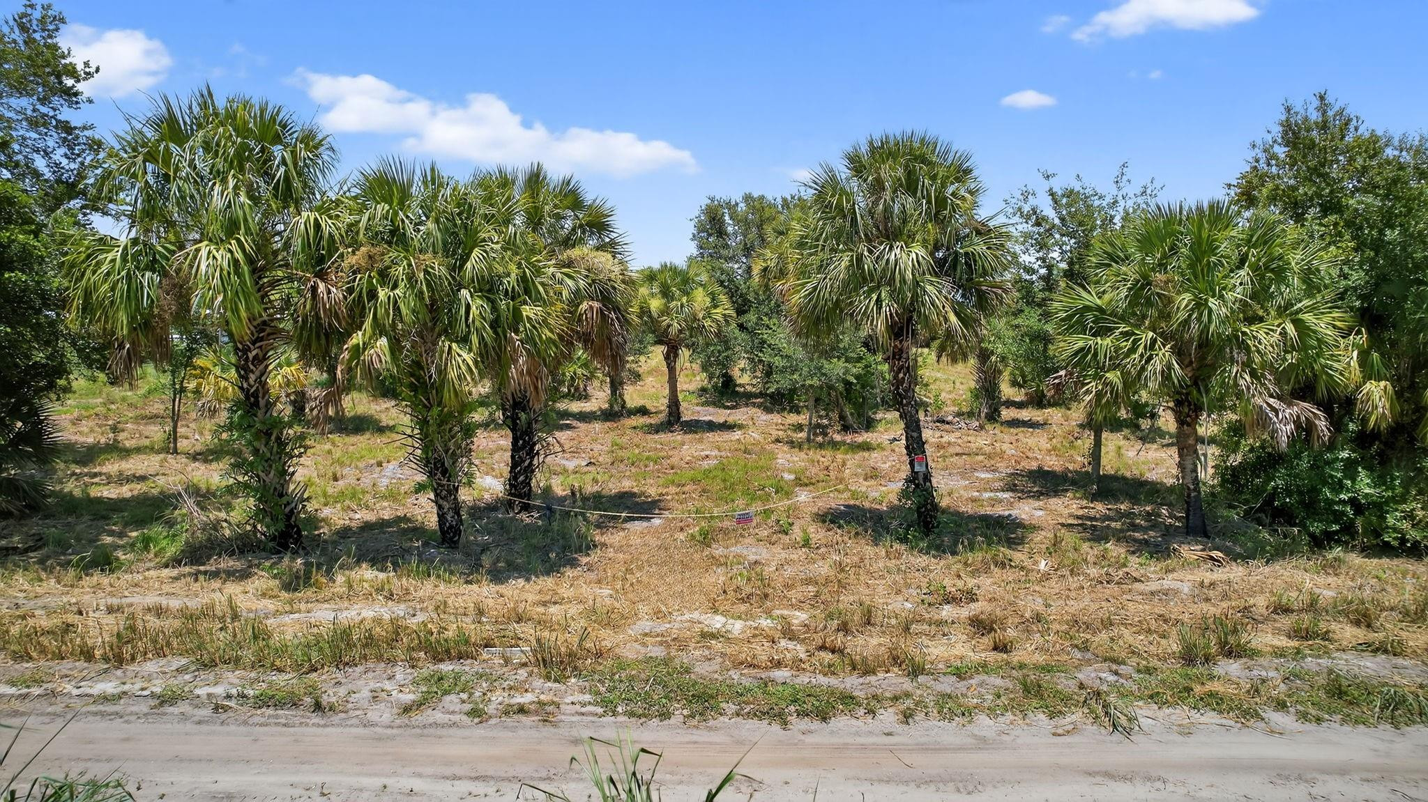 Santa Rosa Groves - Land