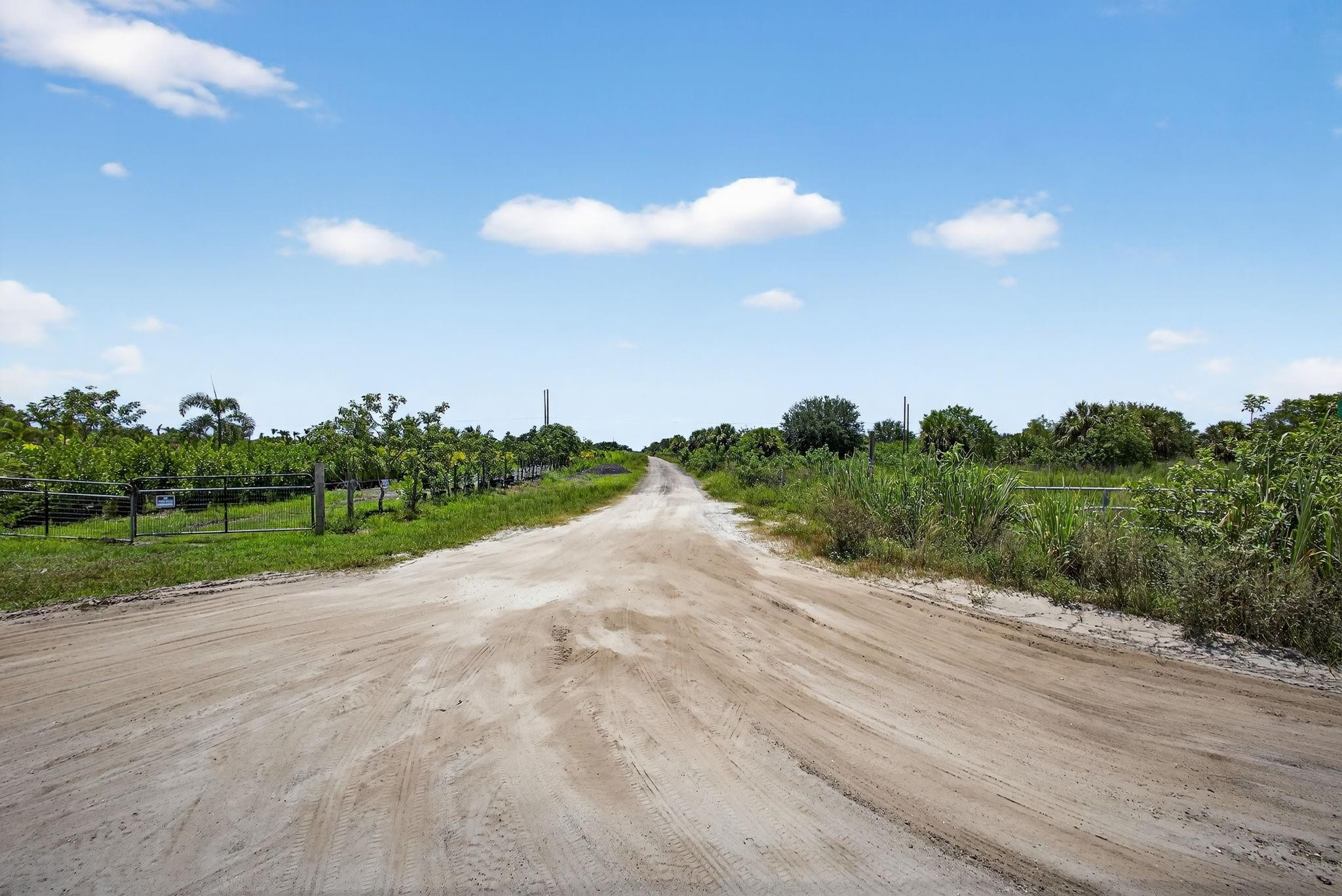 Santa Rosa Groves - Land