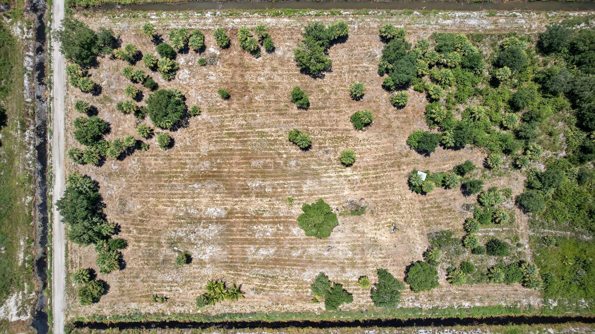 Santa Rosa Groves - Land