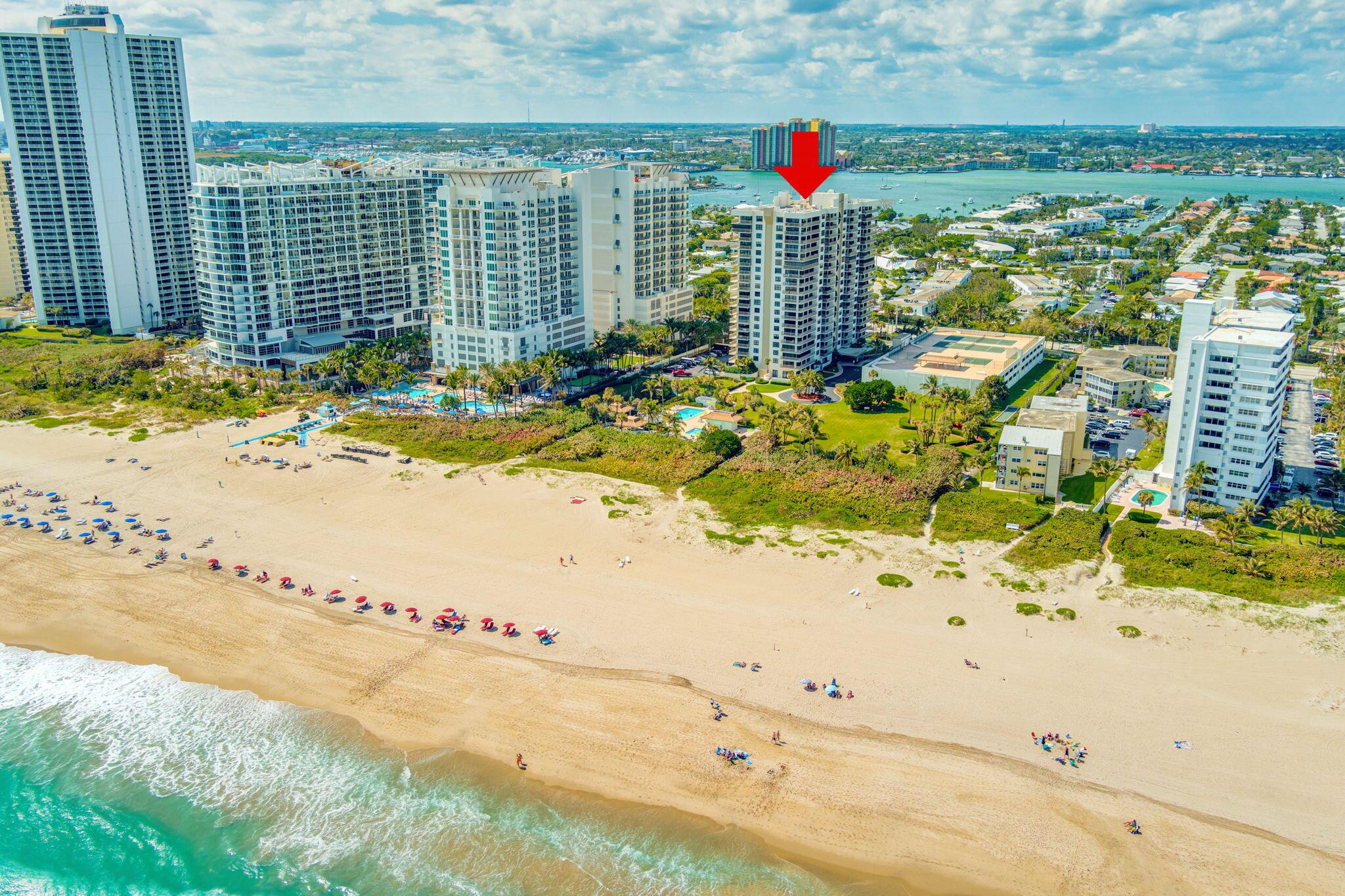 OCEANTREE - Residential