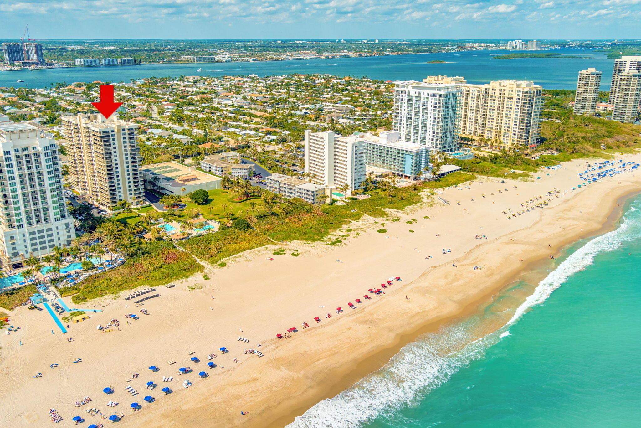 OCEANTREE - Residential