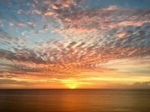 OCEANTREE - Residential