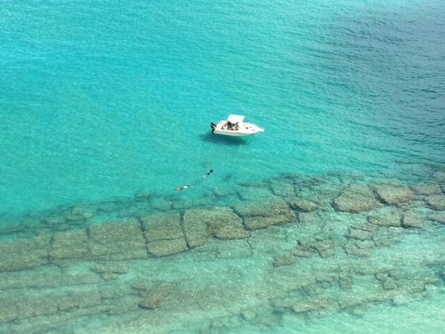 OCEANTREE - Residential