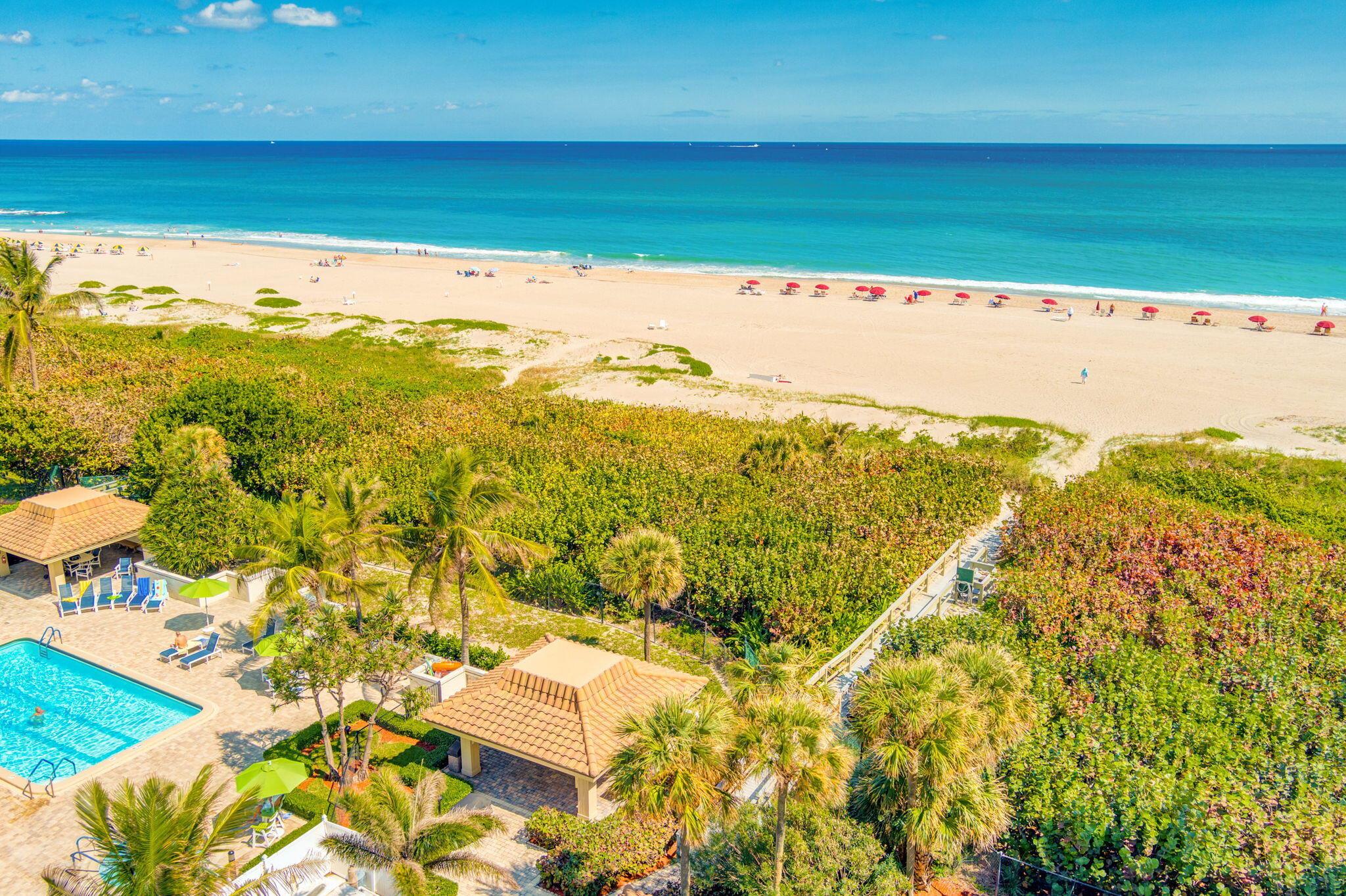 OCEANTREE - Residential