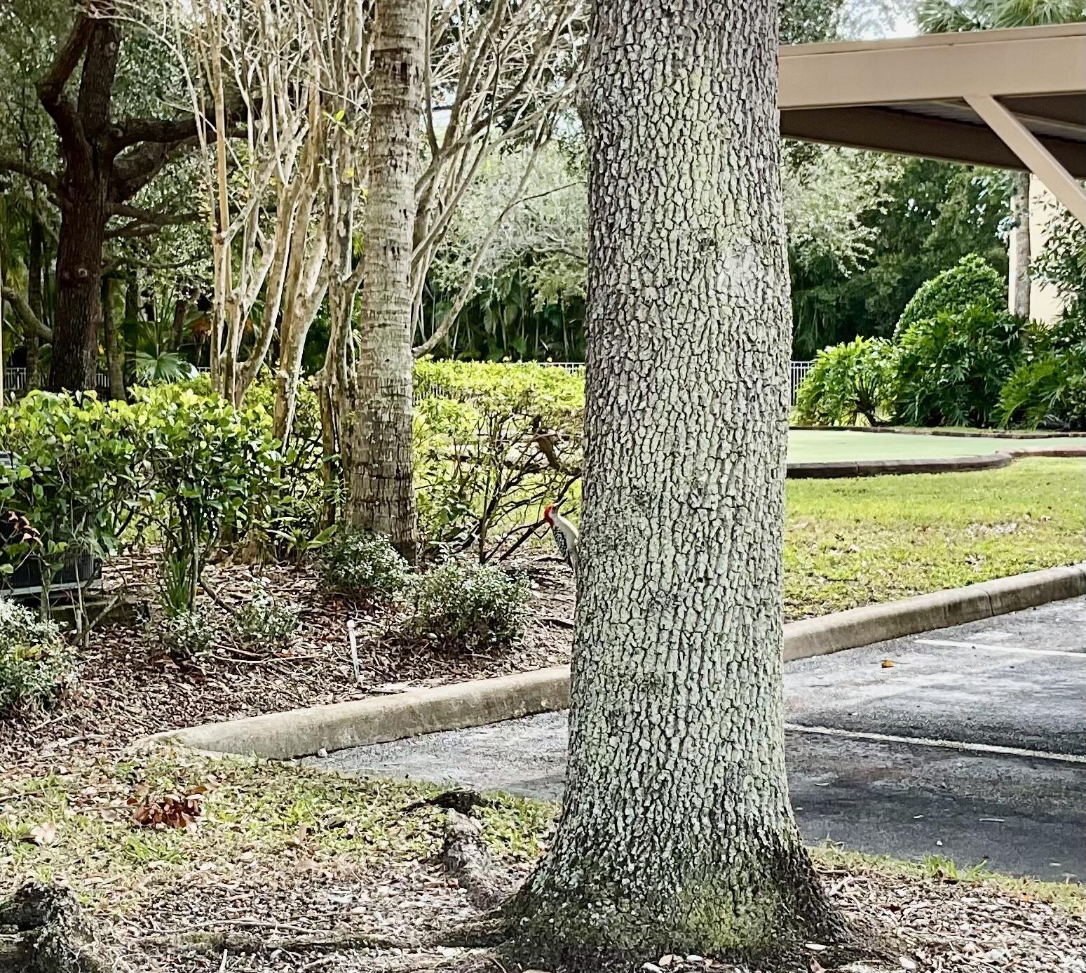 VILLAS AT EMERALD DUNES CONDO - Residential Lease