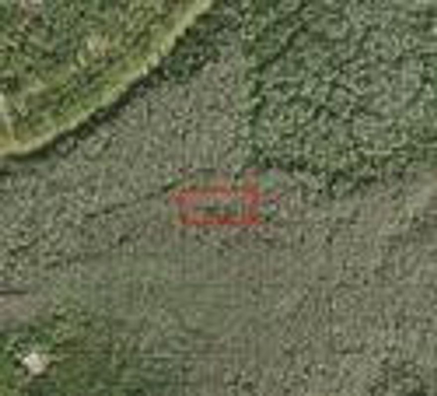 Recreational property in Holopaw. Hunt, camp and ride!Owner financing available