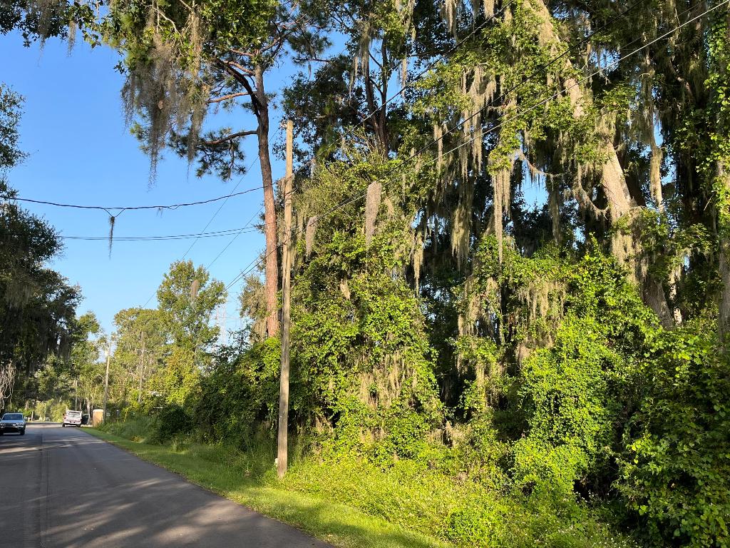 PLANTATION ESTATES UNIT 31 - Land