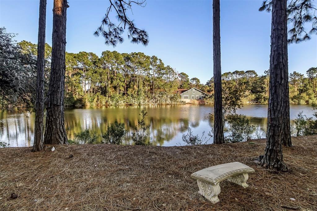 Amelia Park - Residential