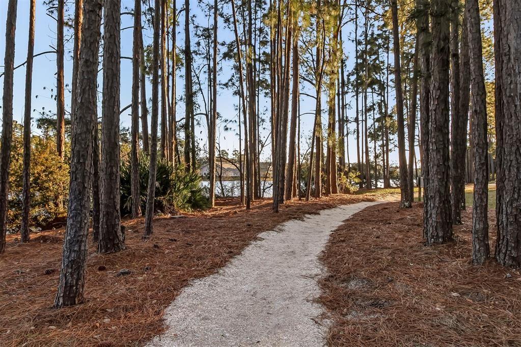 Amelia Park - Residential