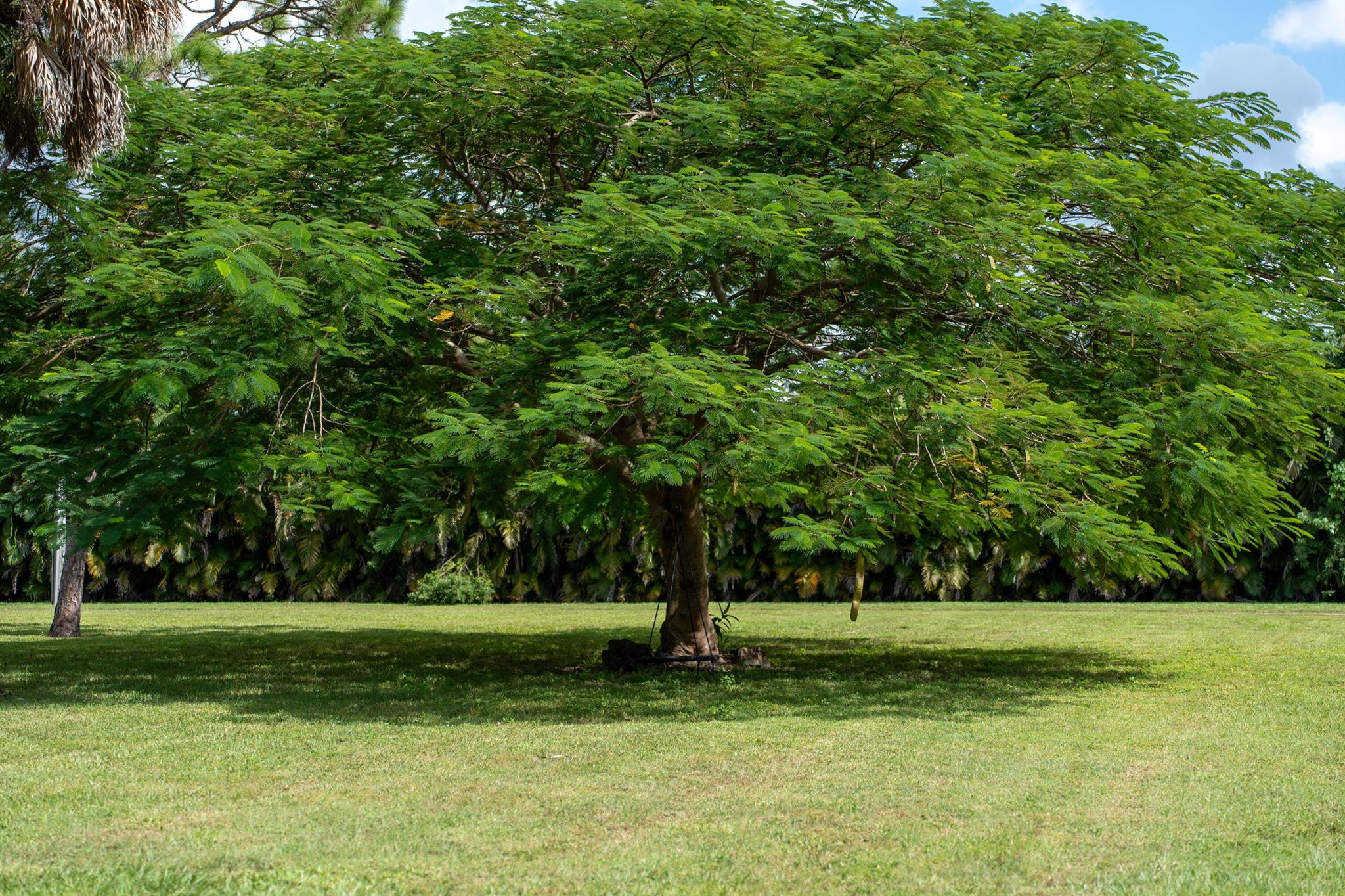Loxahatchee Groves - Residential