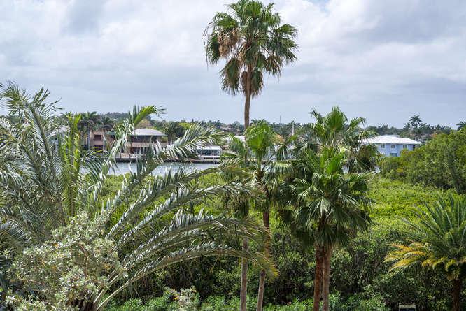 TOSCANA WEST CONDO - Residential Lease