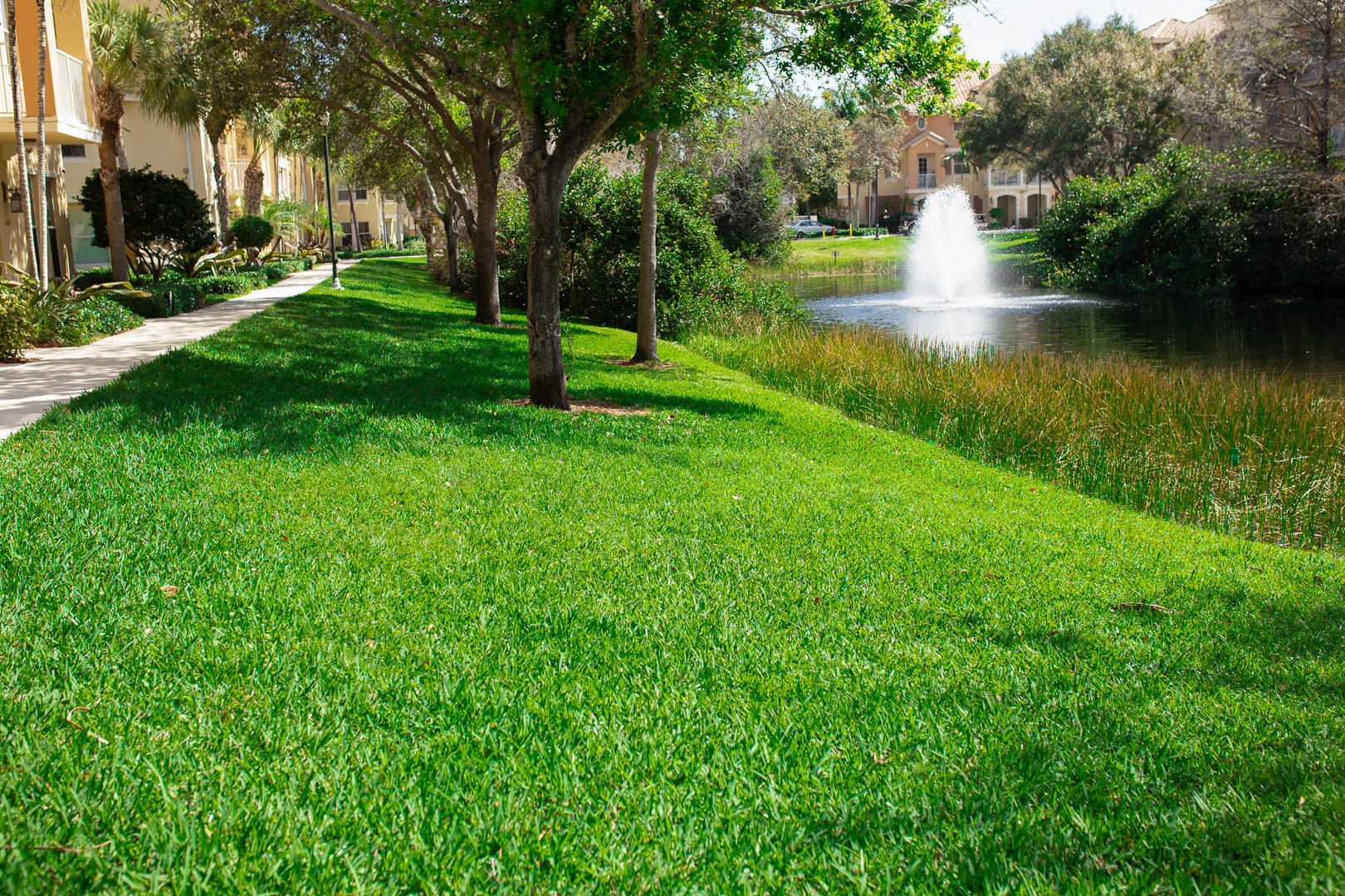 RENAISSANCE COMMONS PUD - Residential Lease