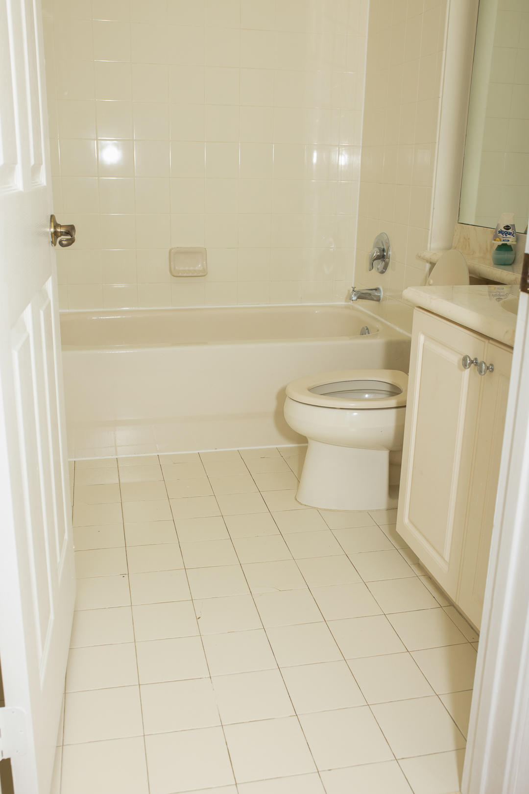 RENAISSANCE COMMONS PUD - Residential Lease