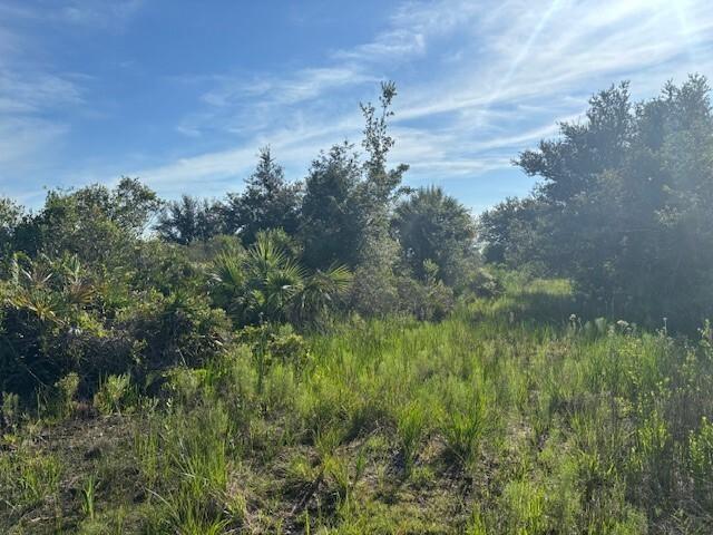 2.5 acres in Viking Estates. Close to the Kissimmee Prairie State Park. Bring your 4 -wheelers. This property is not only ideal for recreational uses such has camping, hunting and shooting, but it’s agricultural as well.
Owner Financing with $2,500 down