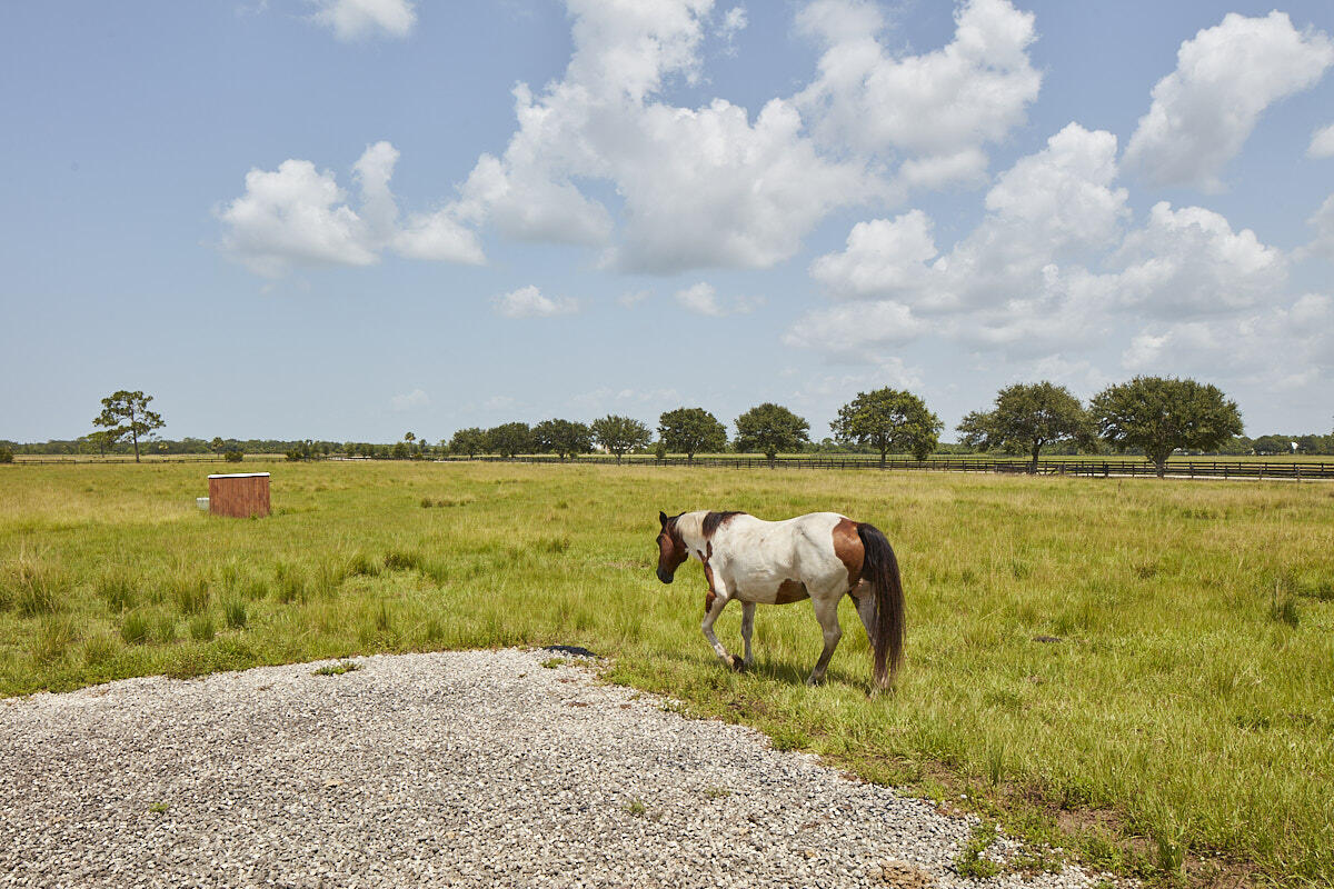 MARTIN COUNTY RANCH COMMUNITY - Land