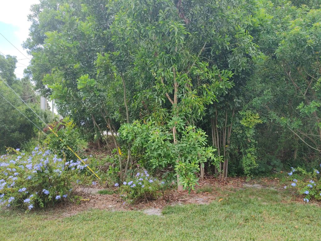 Photo of 8540 Gallberry Circle Cir, Port Saint Lucie, FL 34952 (MLS # R10814620)