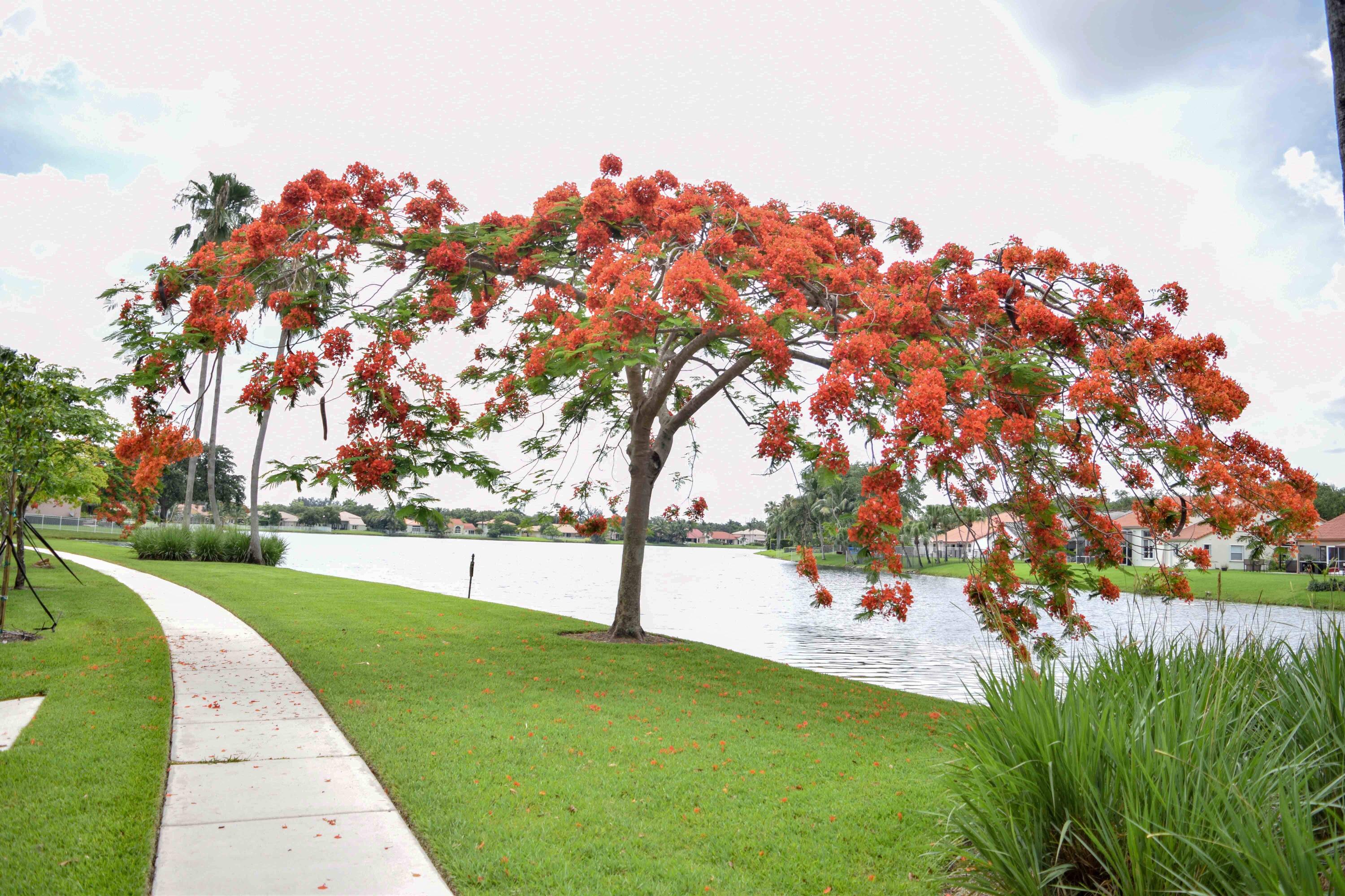 Embassy Courts - Residential Lease