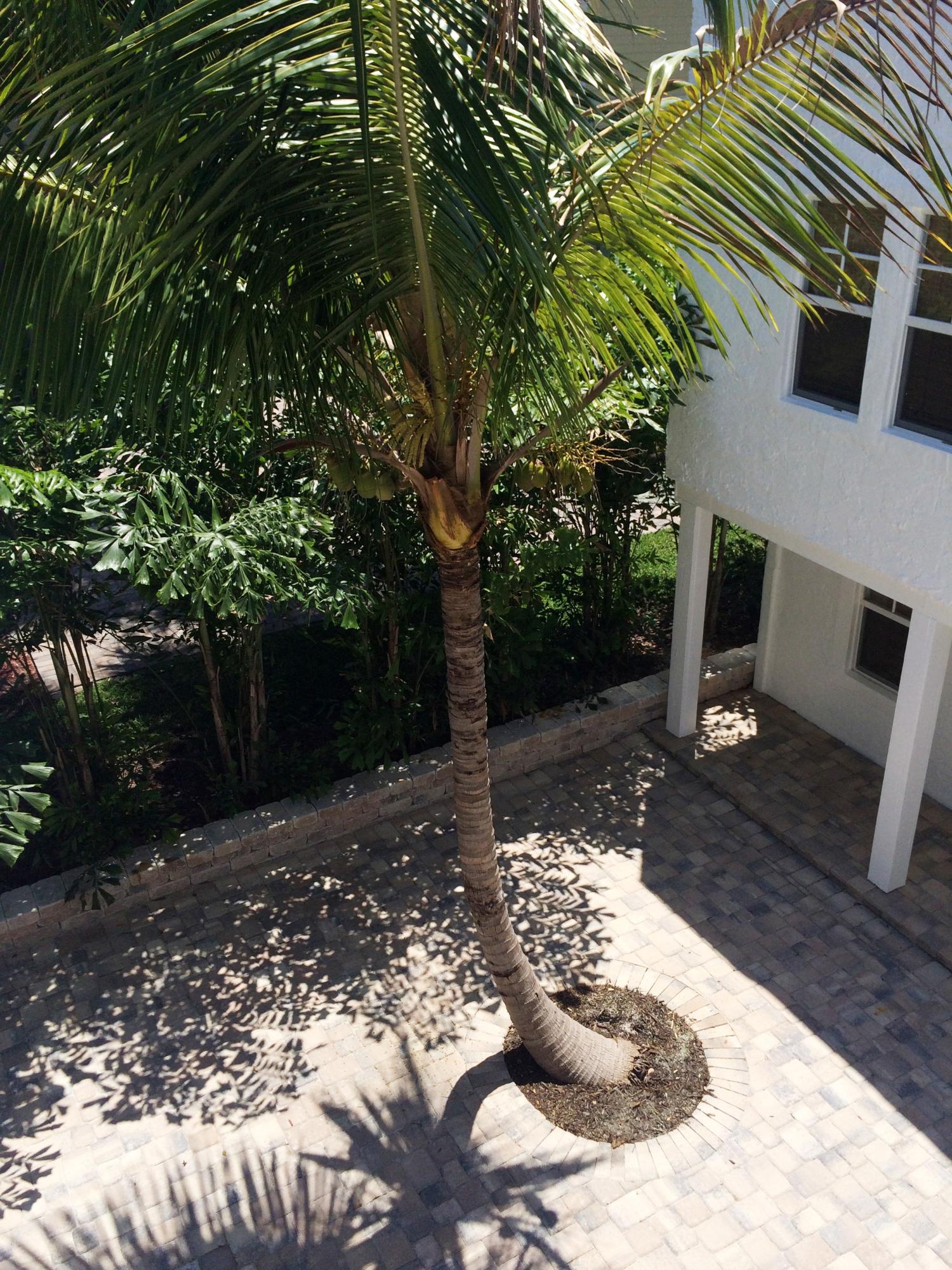 GRANDVIEW HEIGHTS - PALM BEACH HEIGHTS - Residential Lease