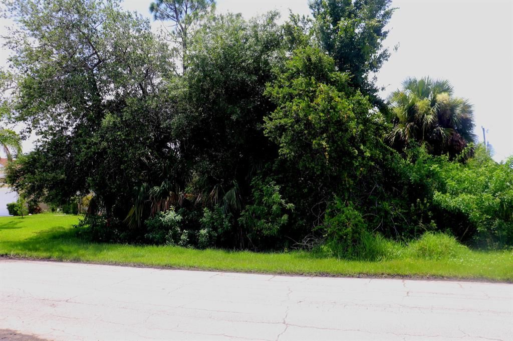 Photo of 1258 SW Century Avenue, Port Saint Lucie, FL 34953 (MLS # R10733253)