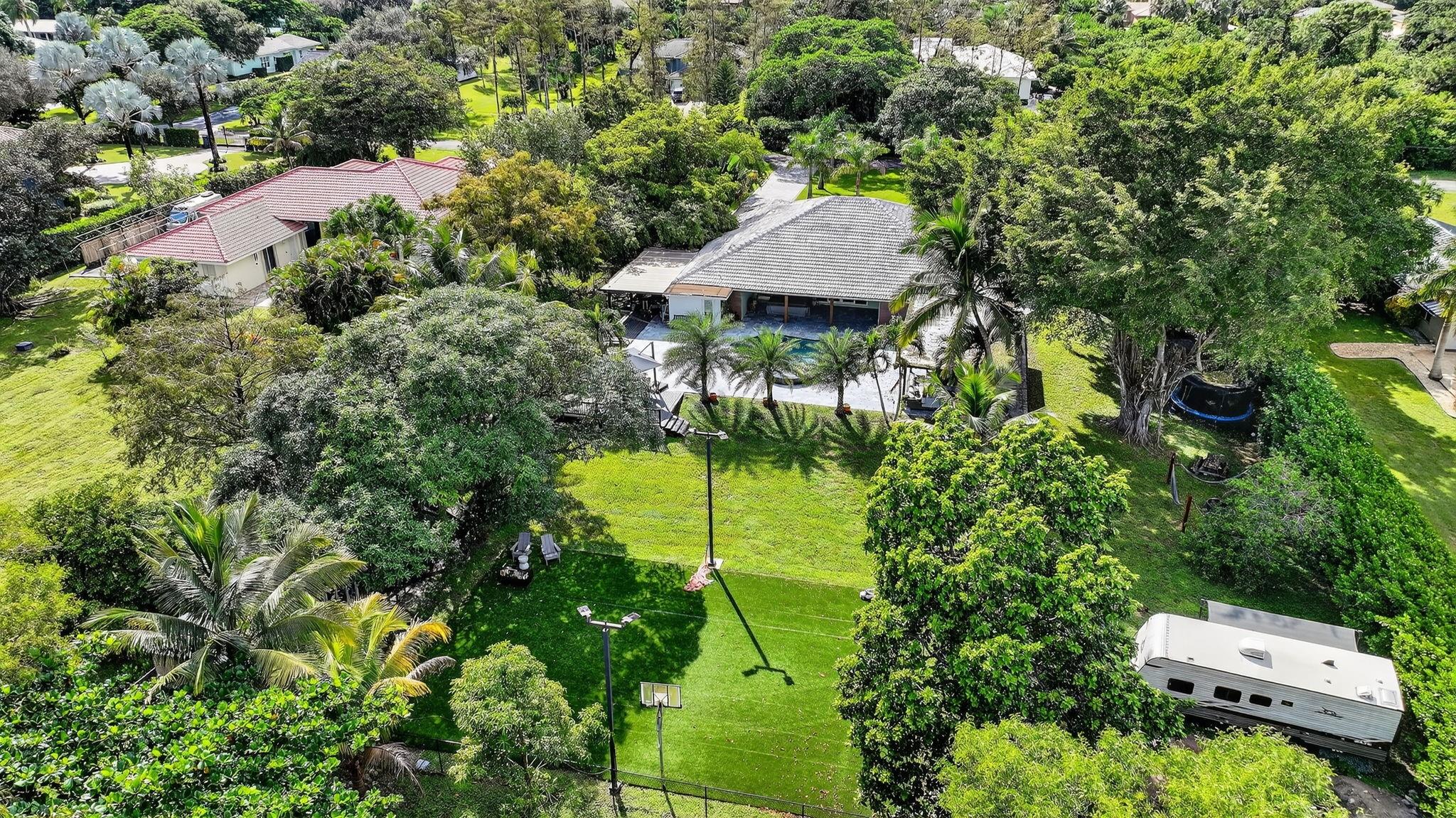 Pine Tree - Residential