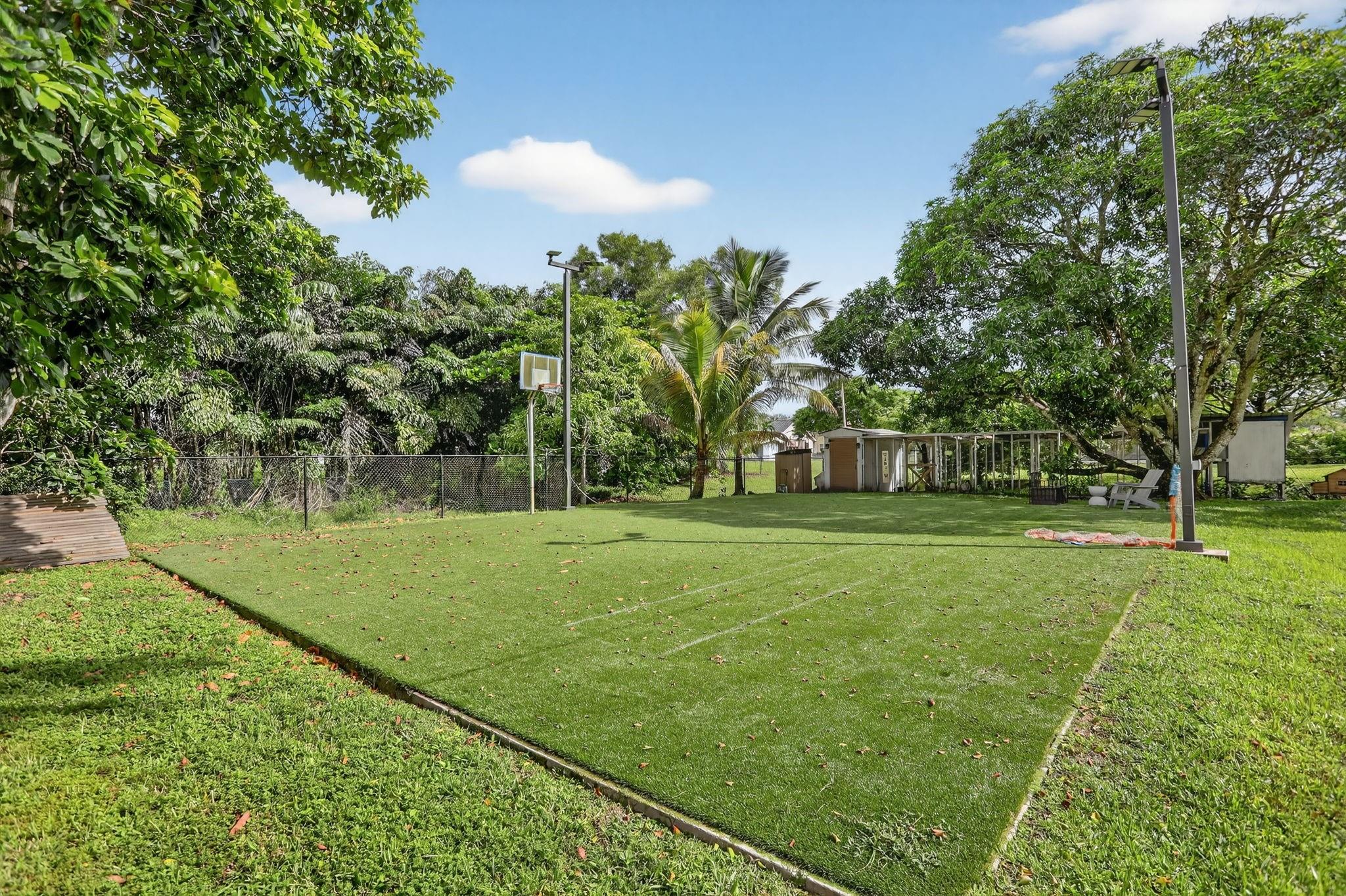 Pine Tree - Residential