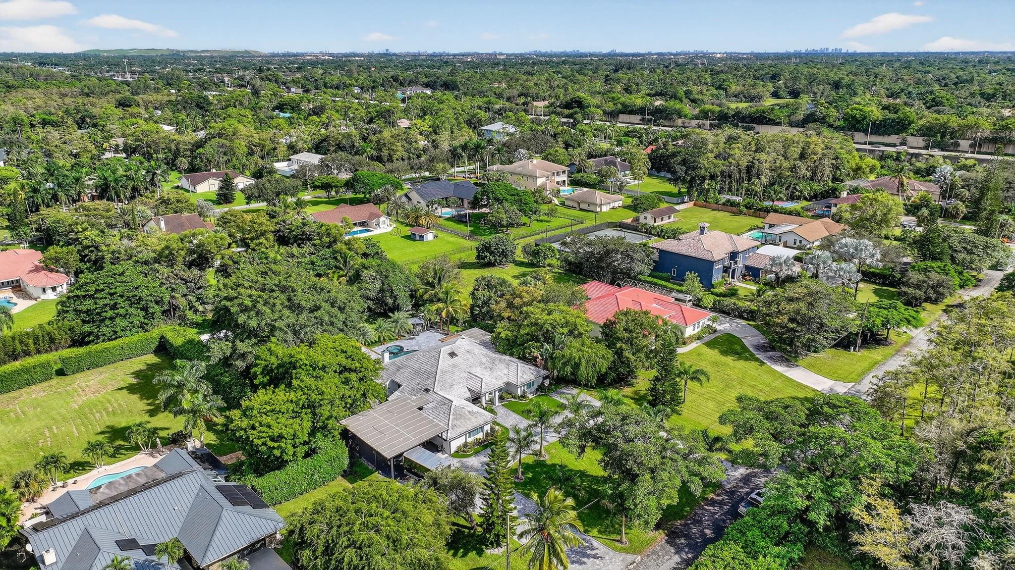 Pine Tree - Residential