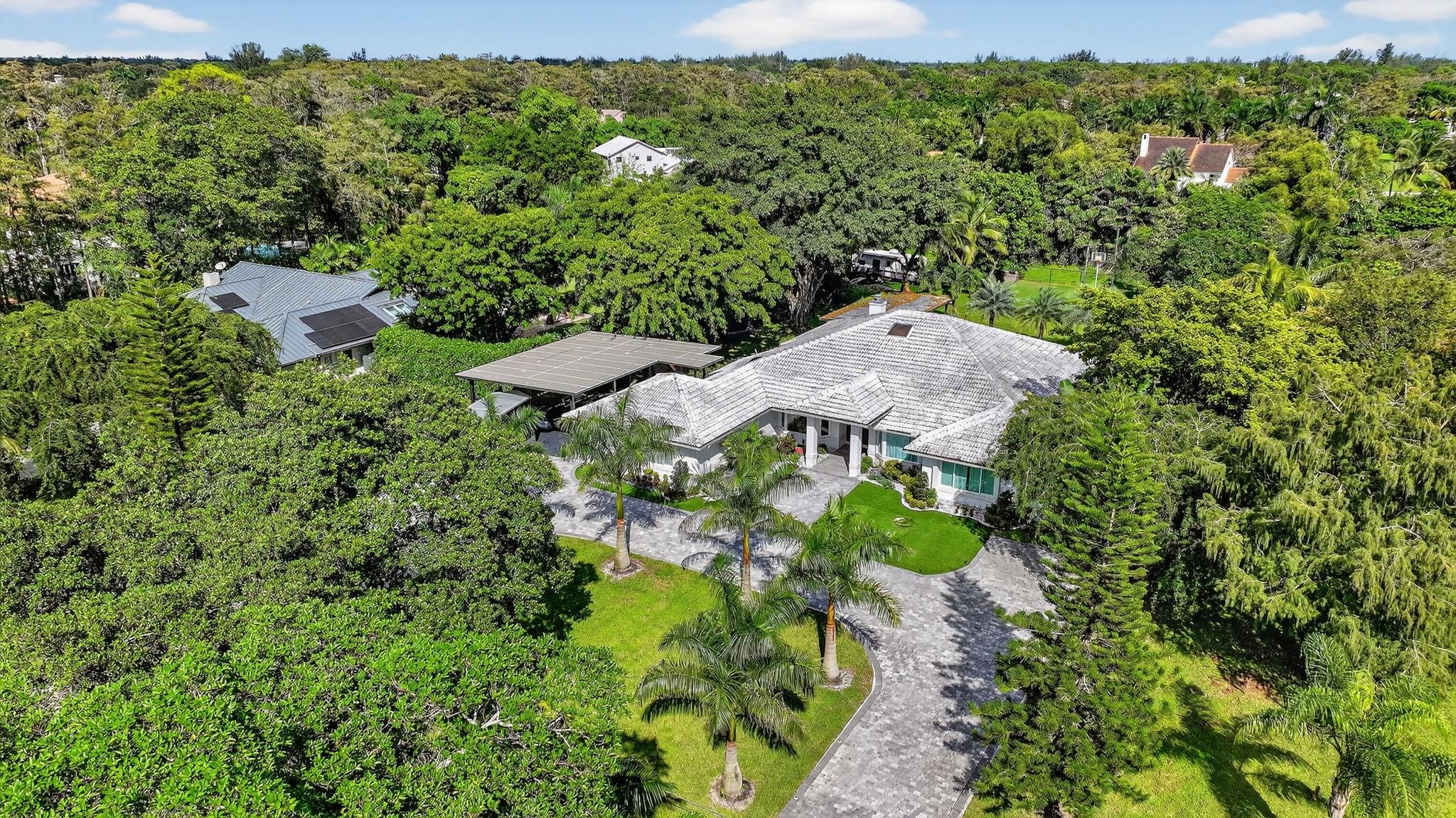 Pine Tree - Residential