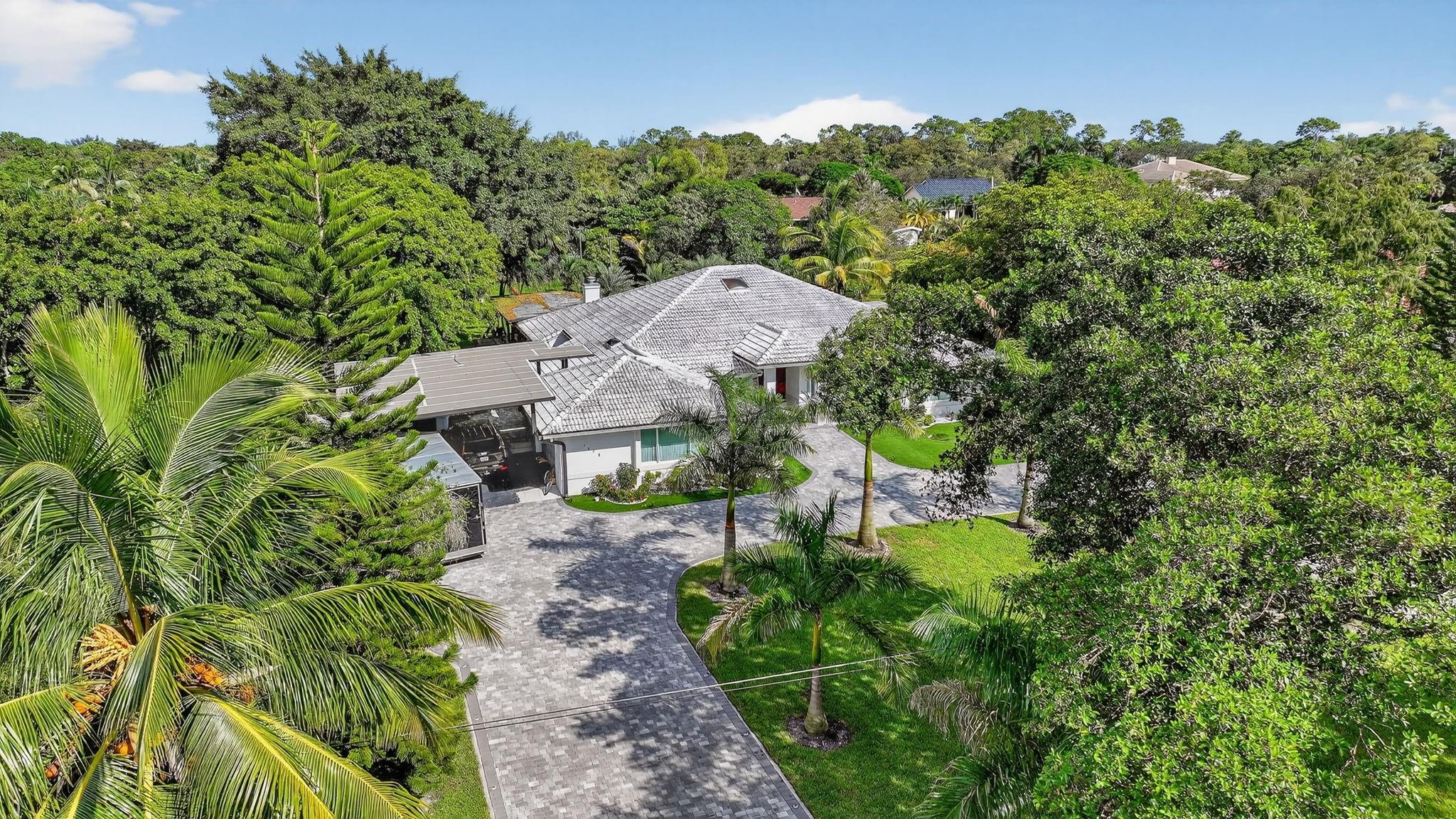 Pine Tree - Residential