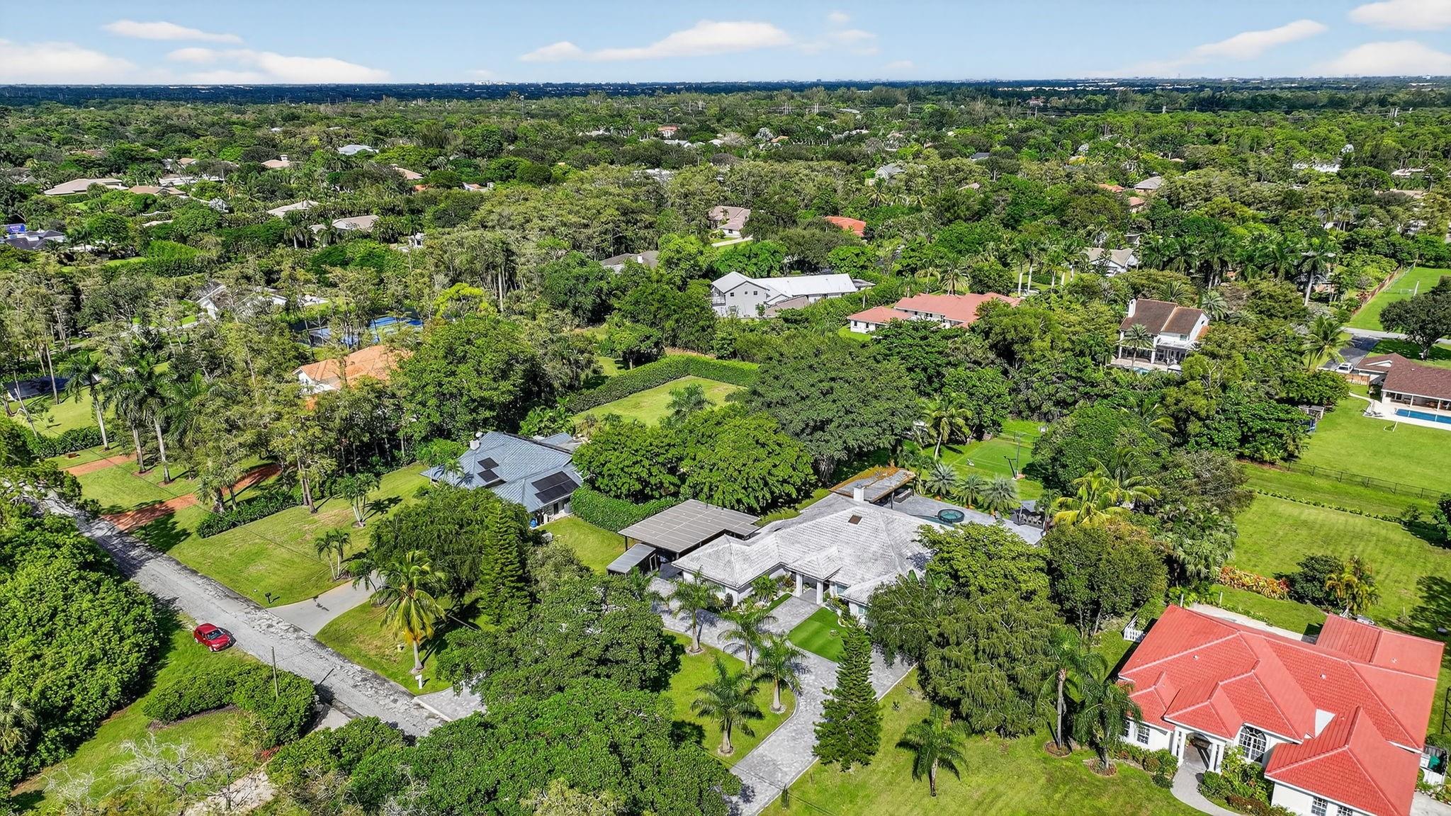 Pine Tree - Residential