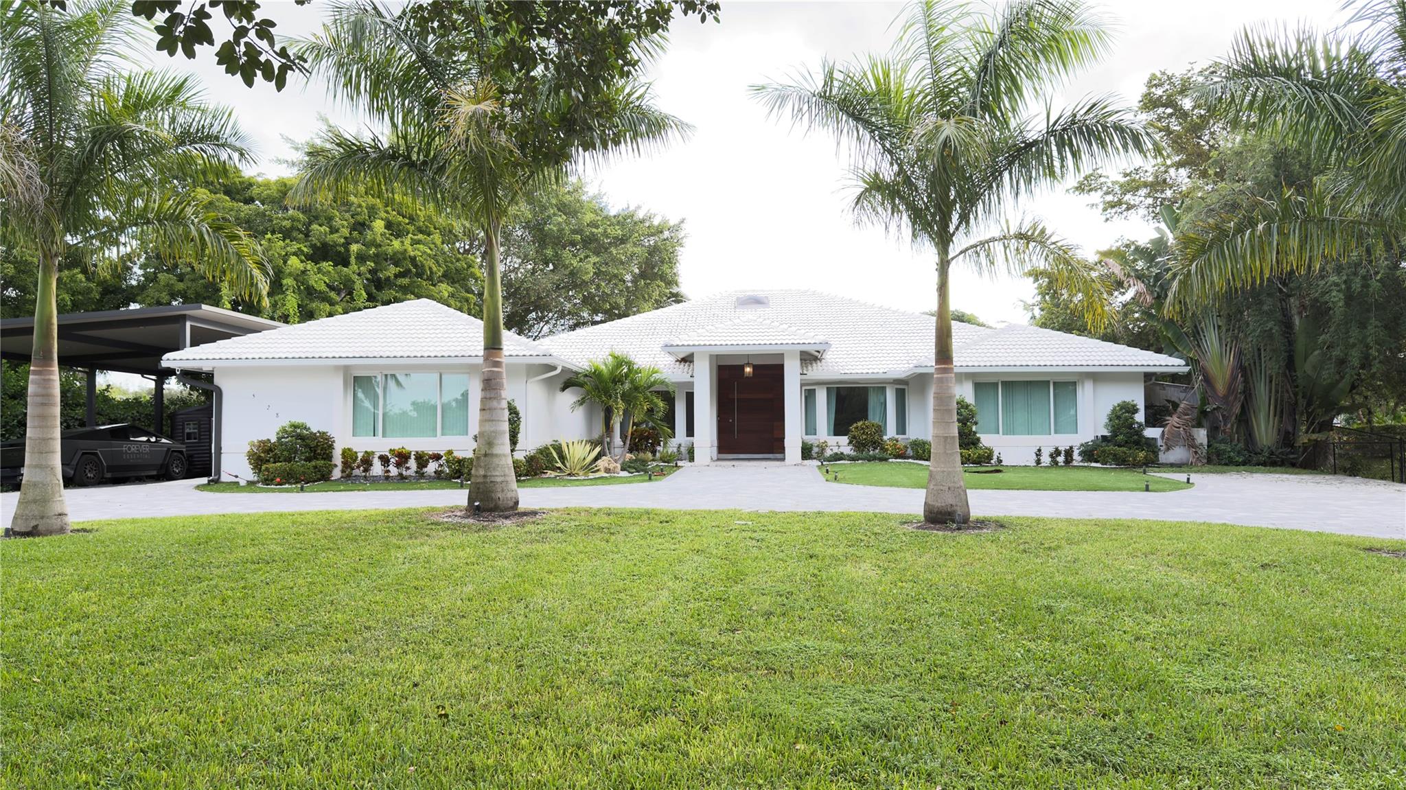 Pine Tree - Residential