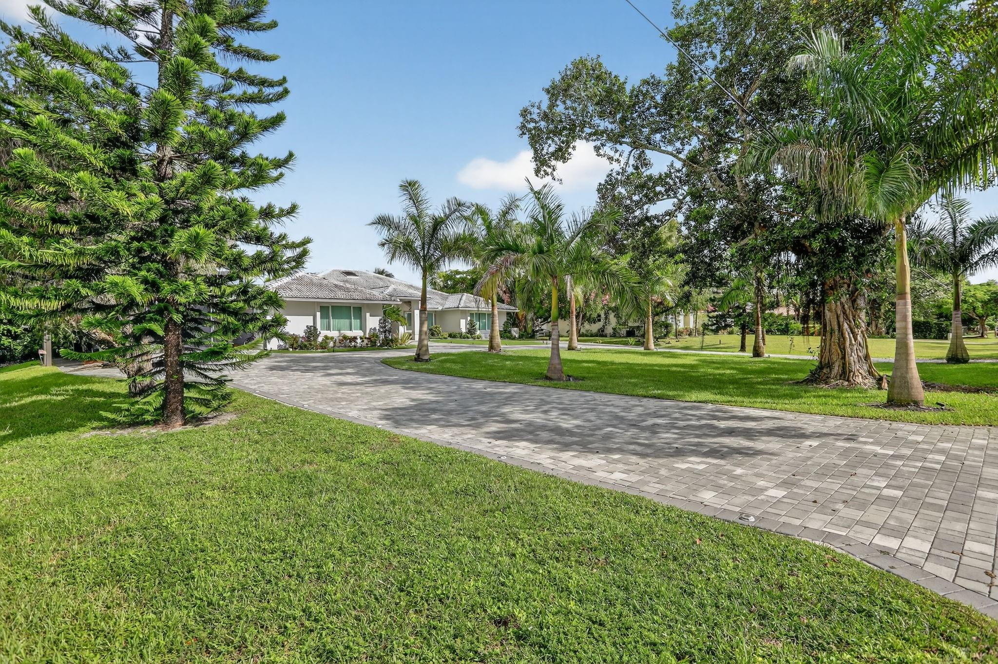 Pine Tree - Residential