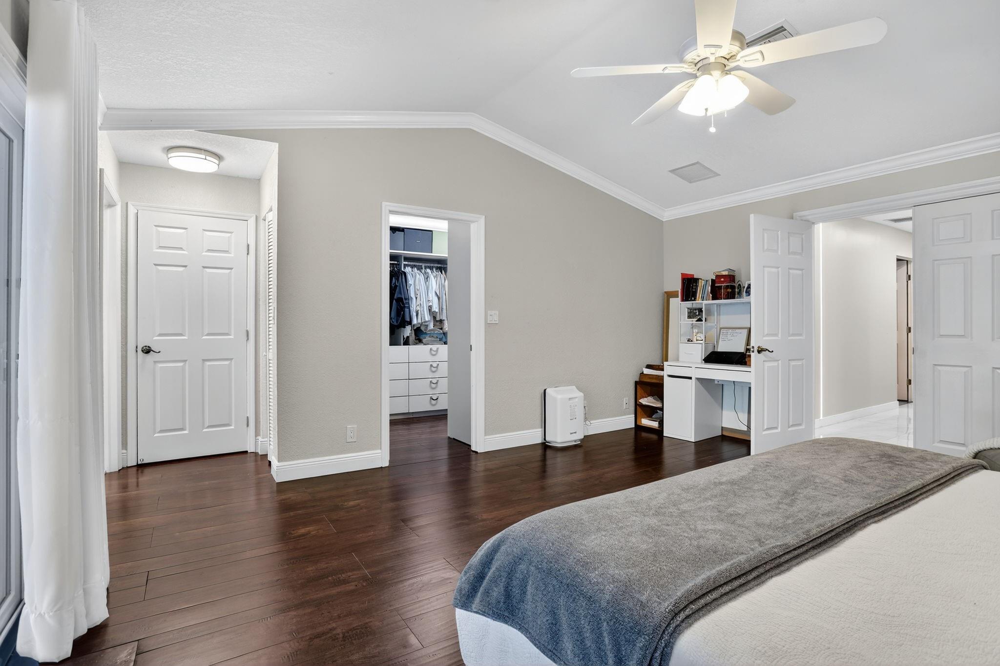 Pine Tree - Residential