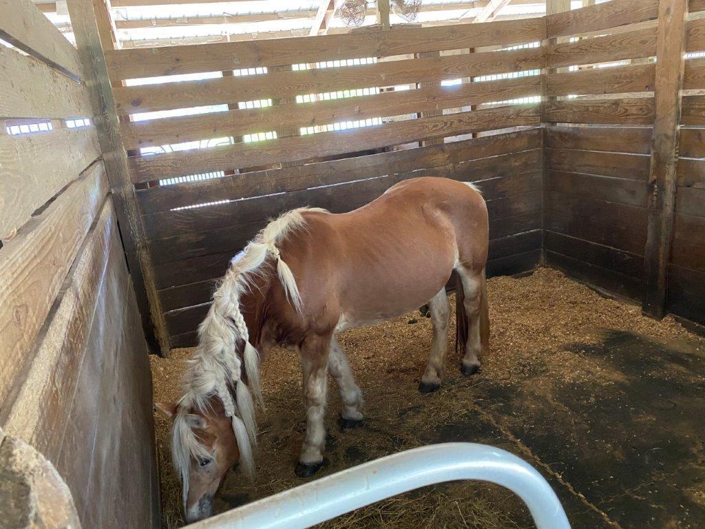 LOXAHATCHEE GROVES - Residential Lease