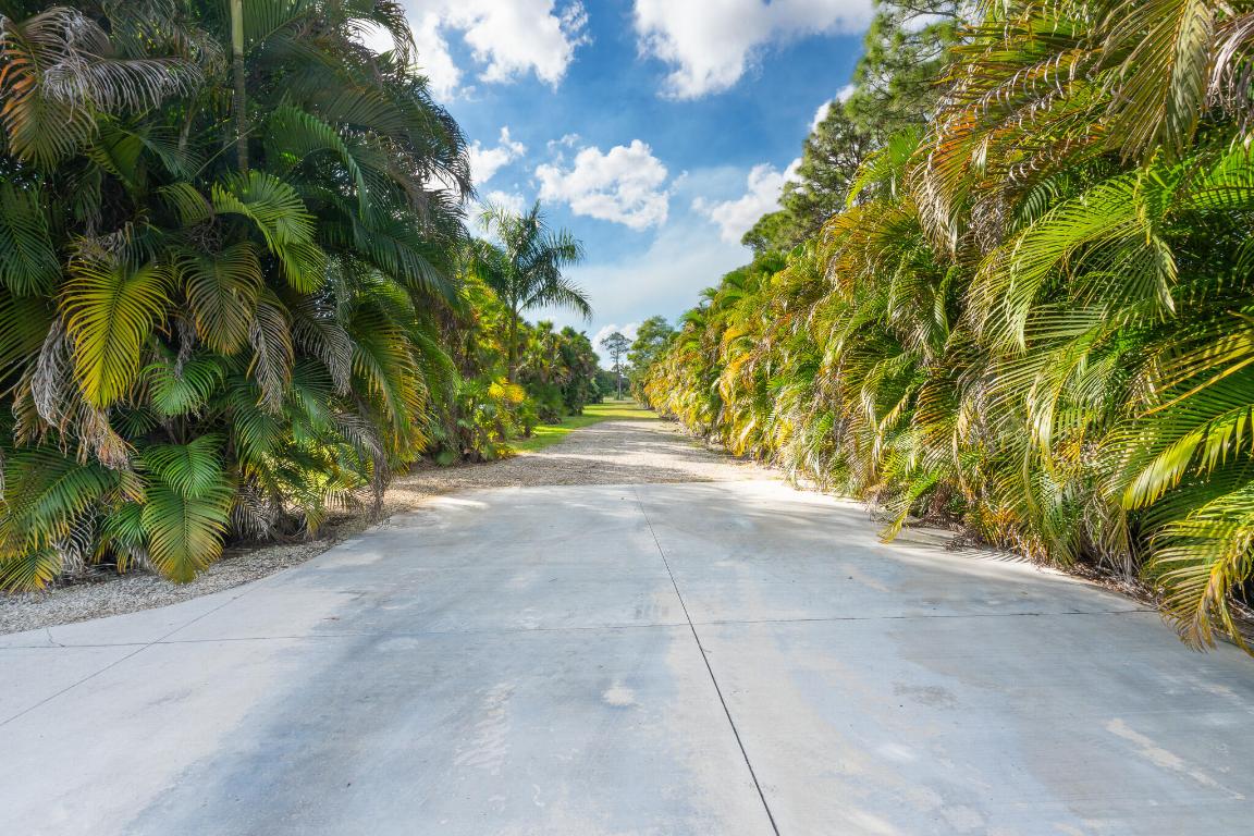 LAS FLORES RANCHOS - Residential