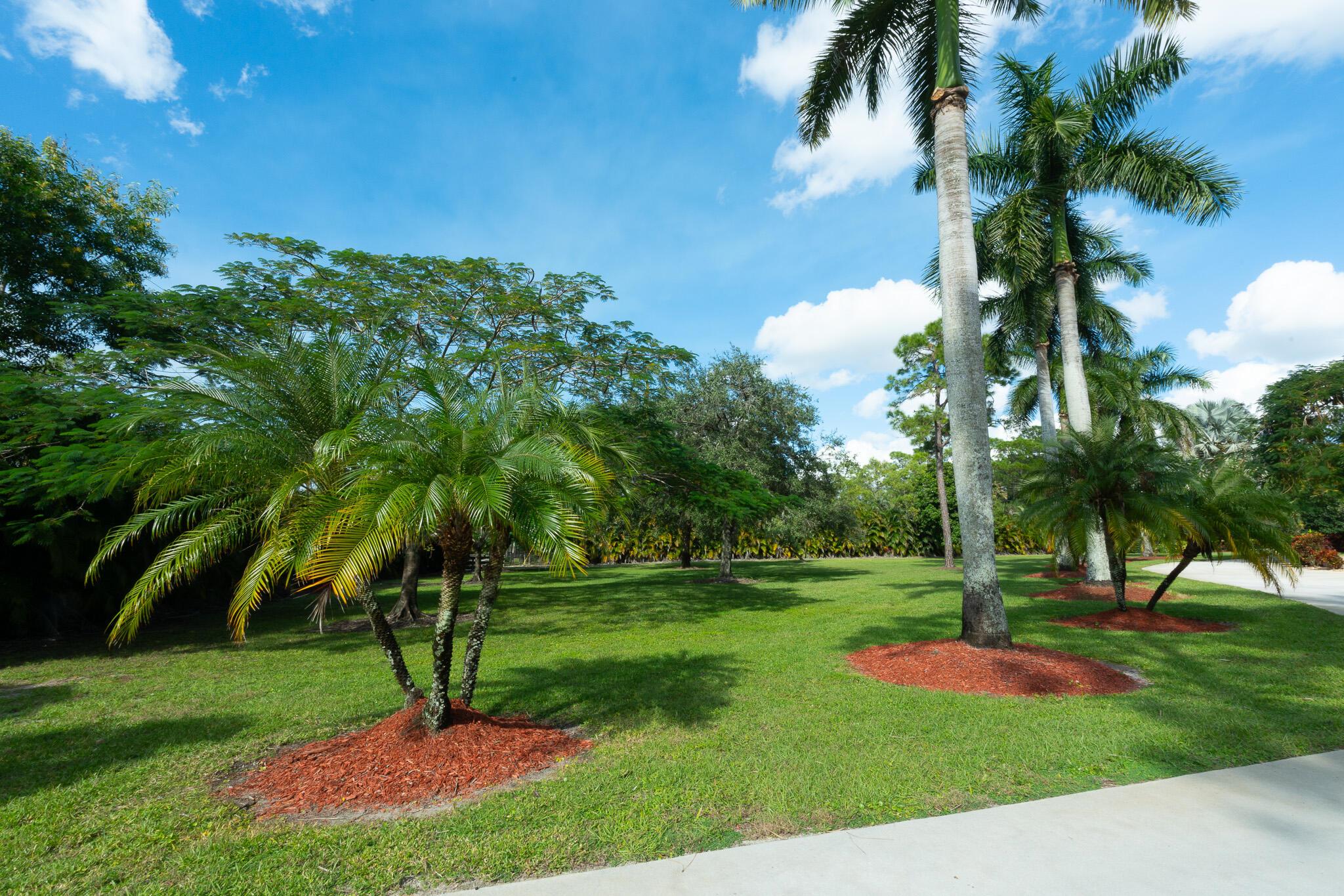 LAS FLORES RANCHOS - Residential