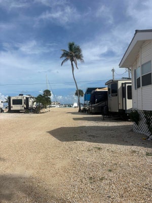 36 E 2ND ST 3P, KEY LARGO, FL 33037 - Image f4bf2bd1126e5190202a34b2db68c19c/1111900260