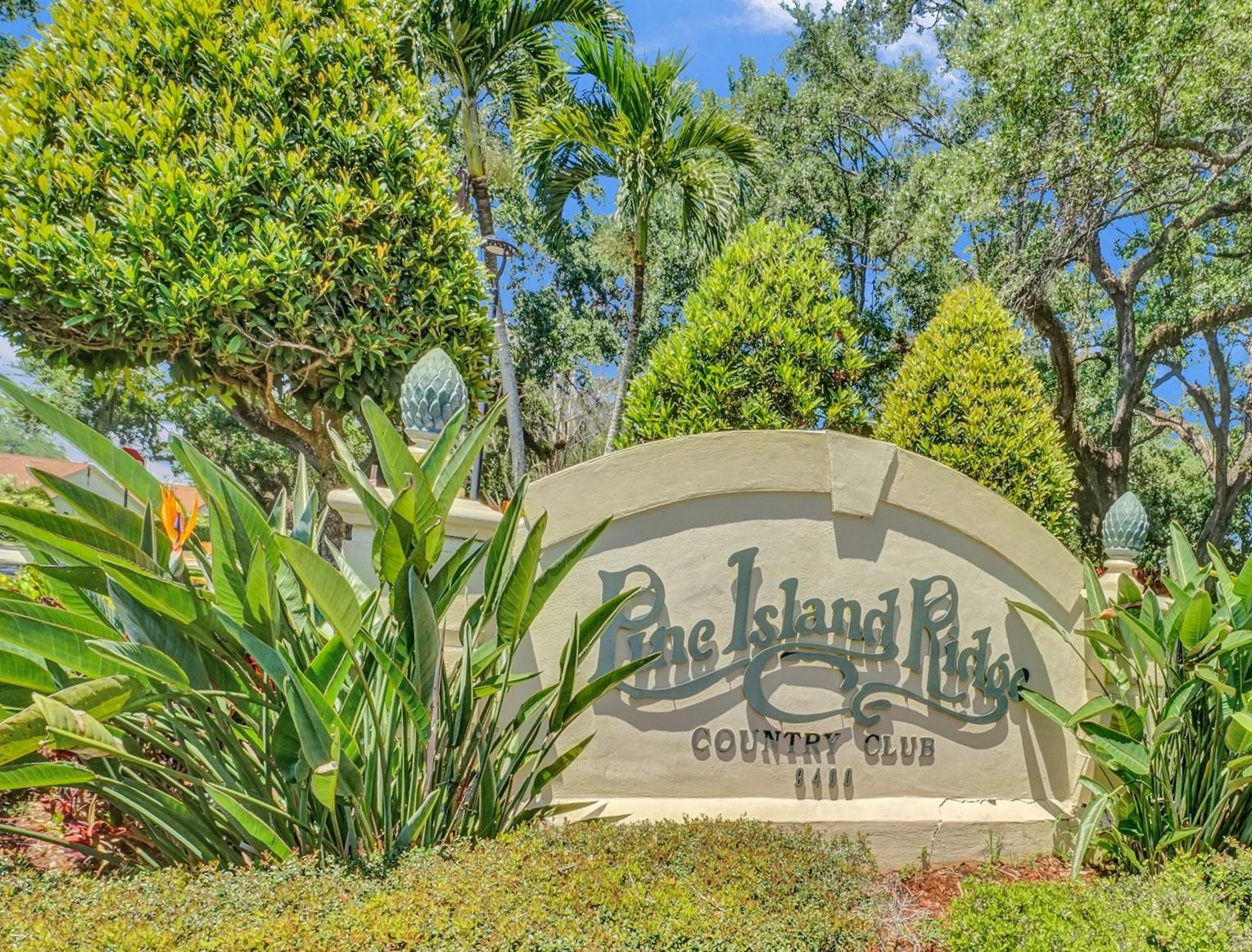 PINE LAKE RIDGE REPLAT - Residential