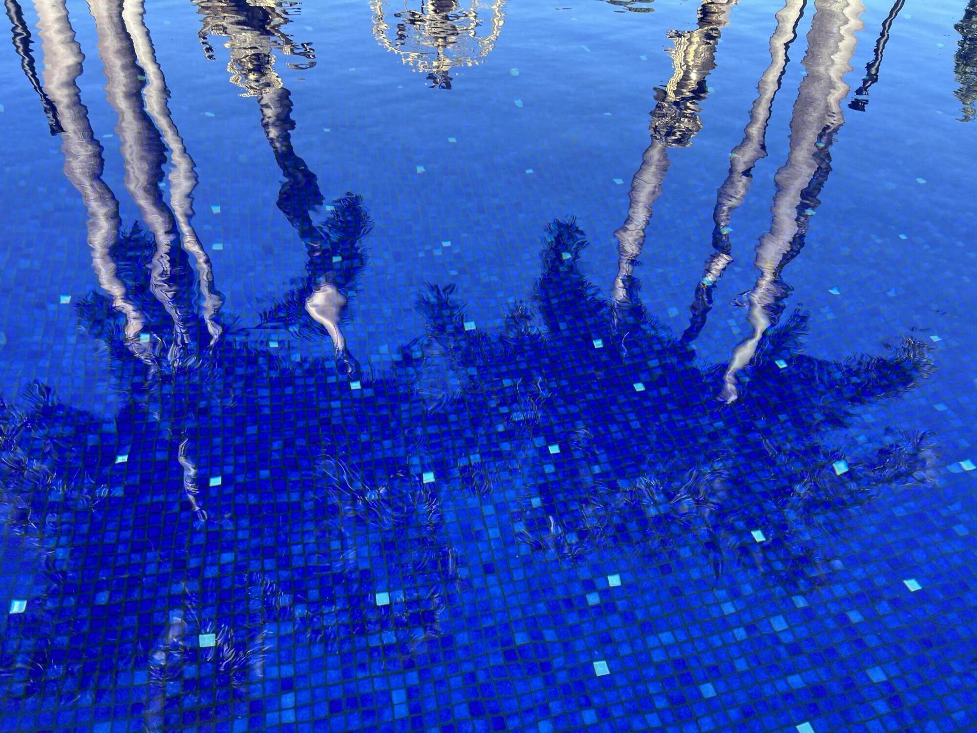 The Oaks - Residential