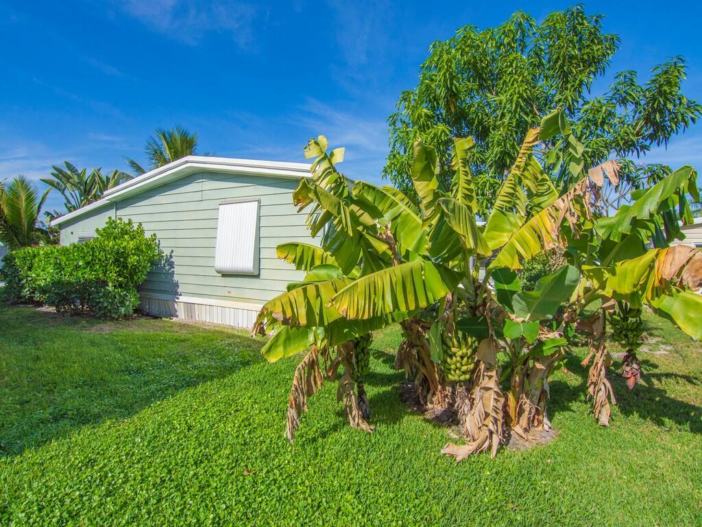 Pinelake Village - Residential