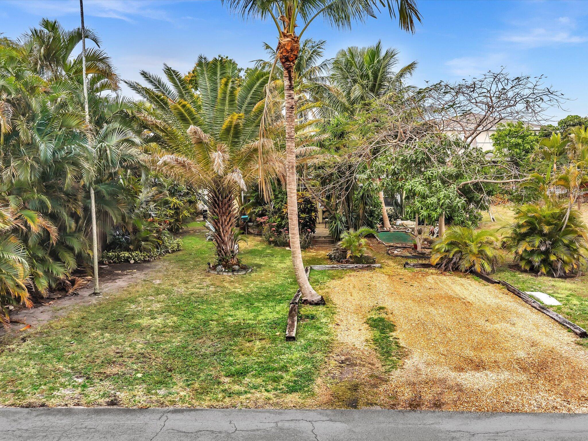 DEL RATON PARK - Land