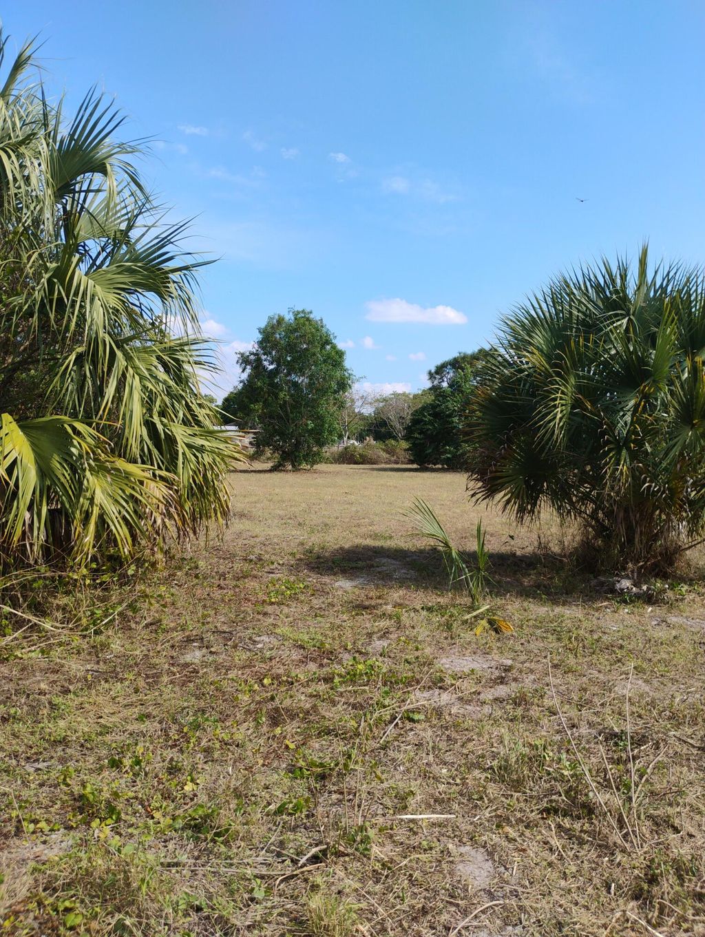 Photo of 18769 47th Court Ct N, Westlake, FL 33470 (MLS # R11066853)