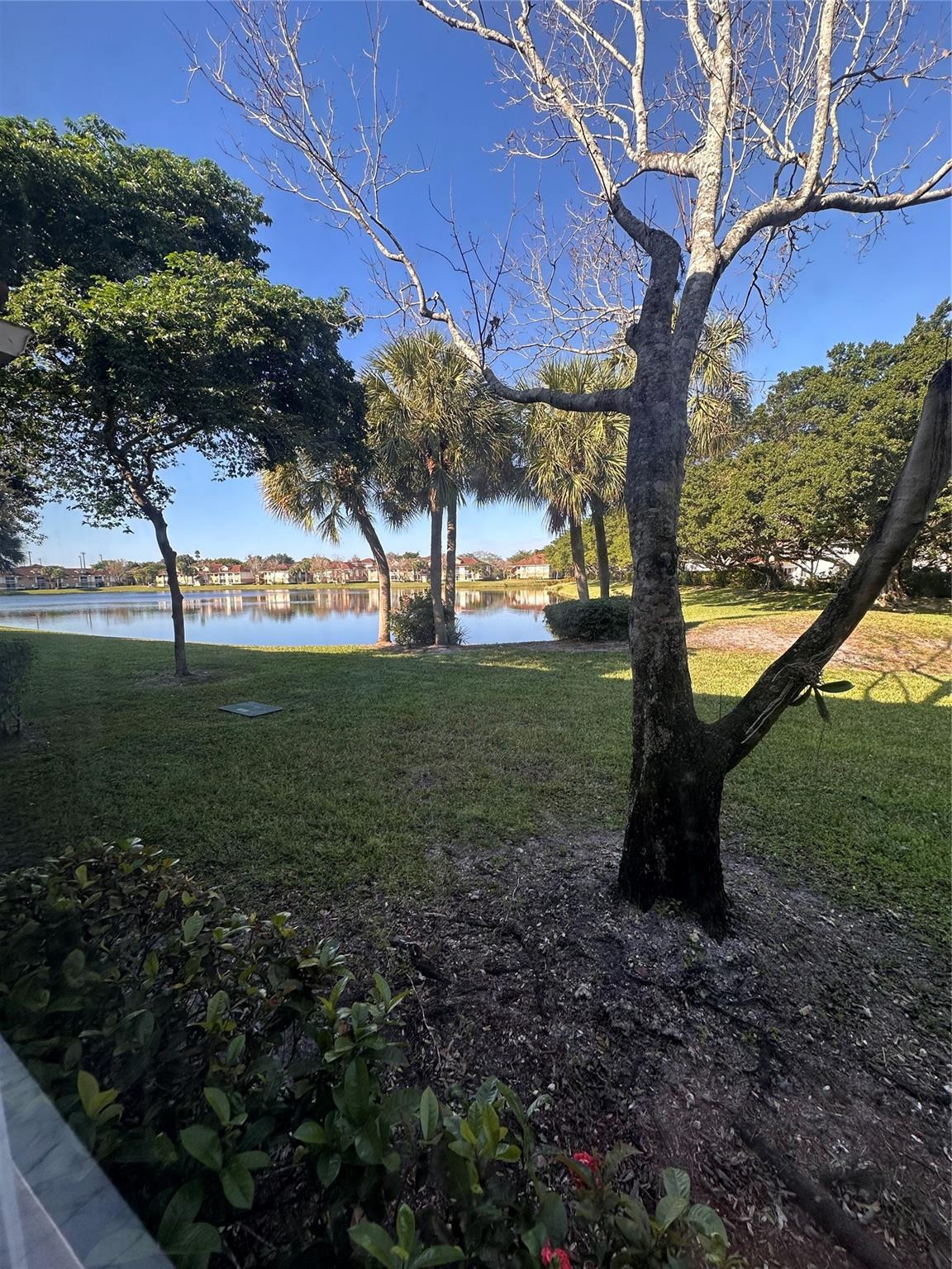 THE COLONNADES - Residential