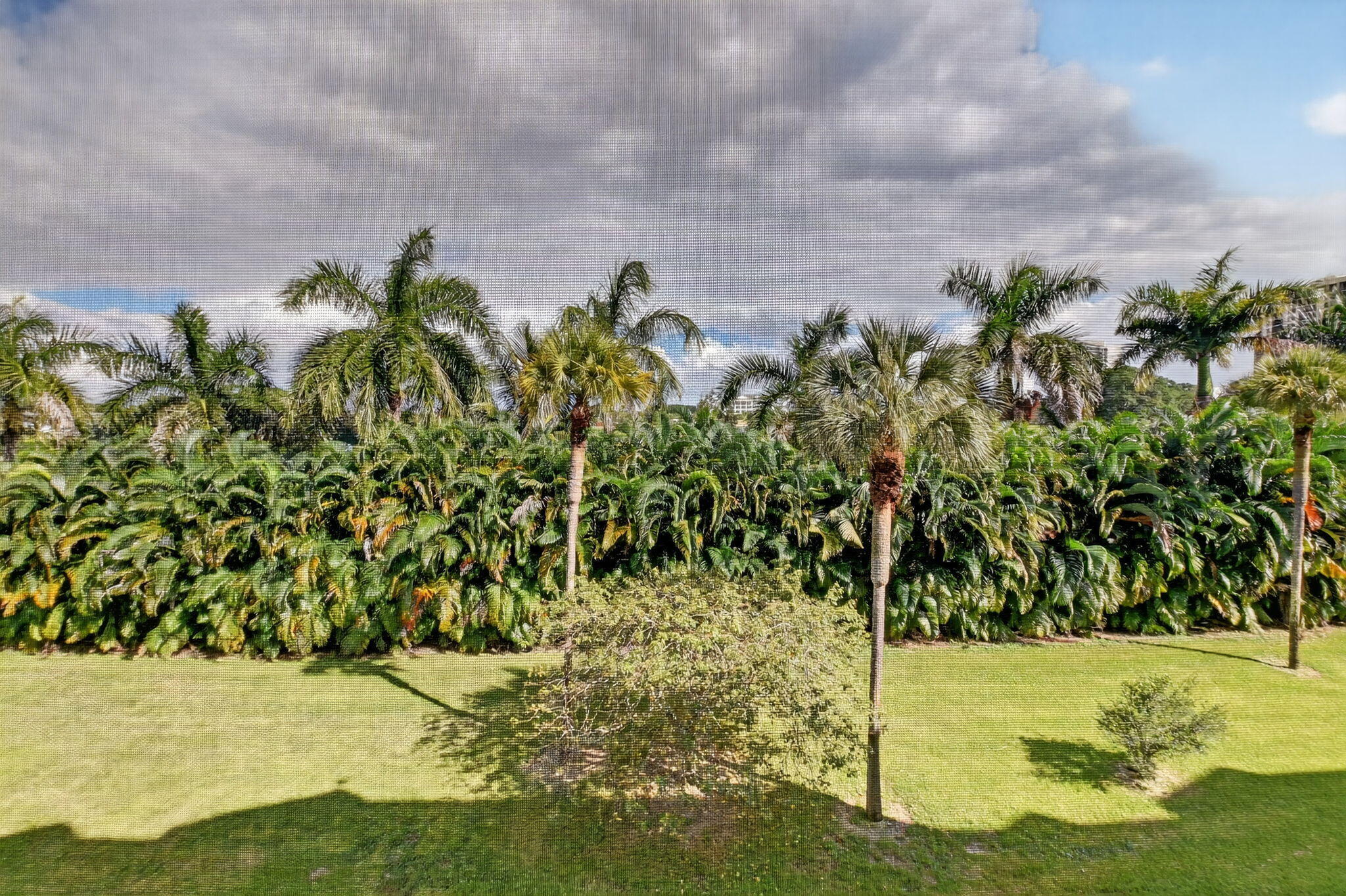 LANDS OF THE PRESIDENT CONDO 8 - Residential