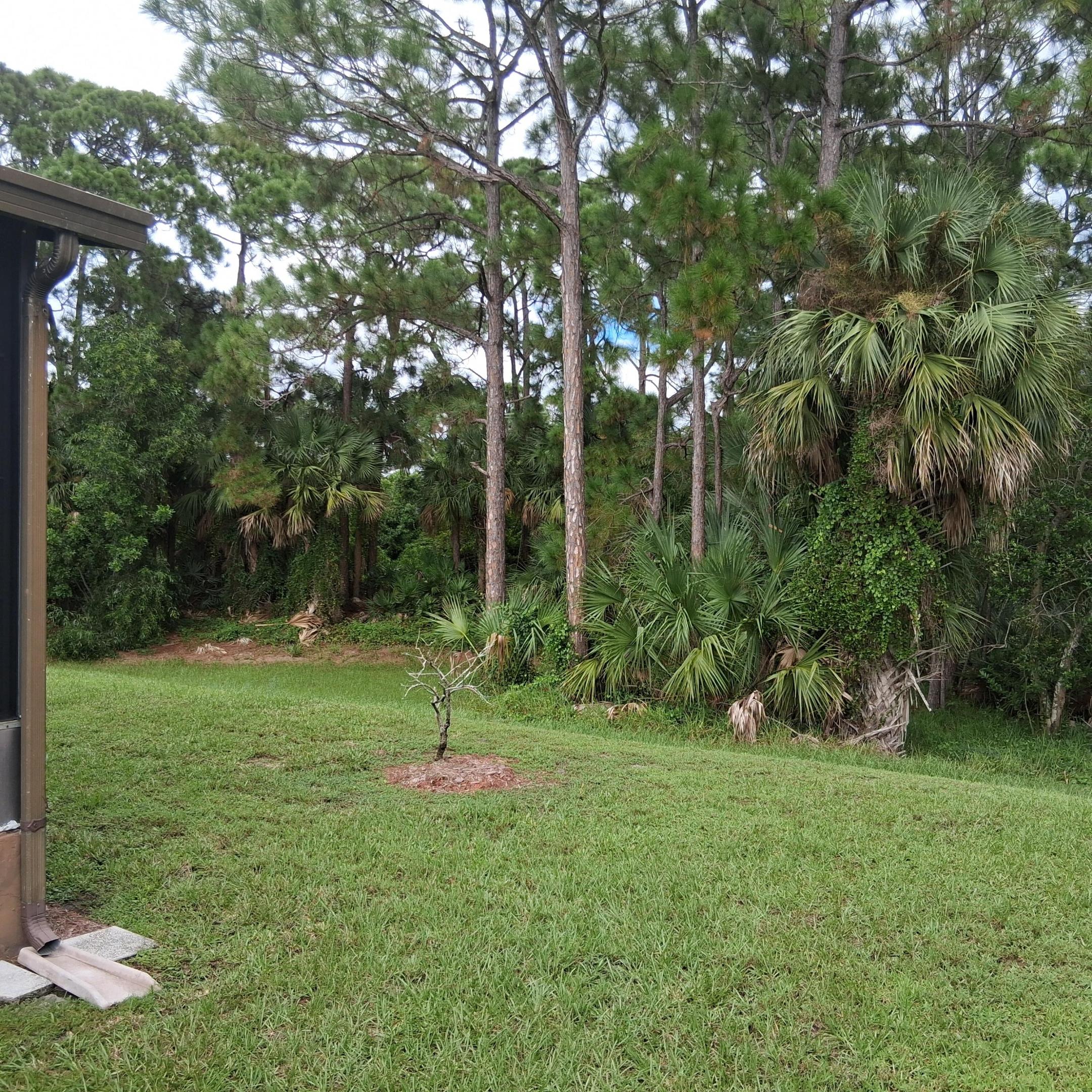 2629 Caper Court